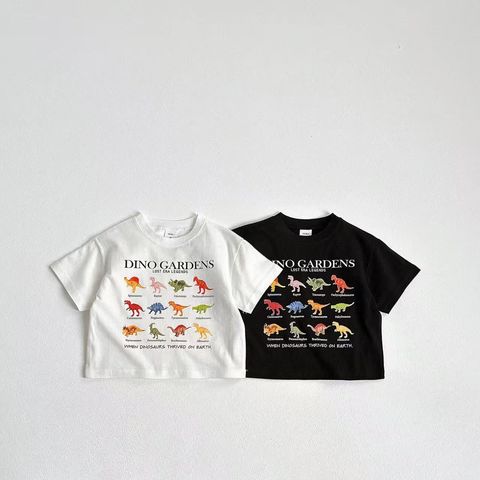 image_0562A22D-7849-4849-B372-68998D990A09_1754353780