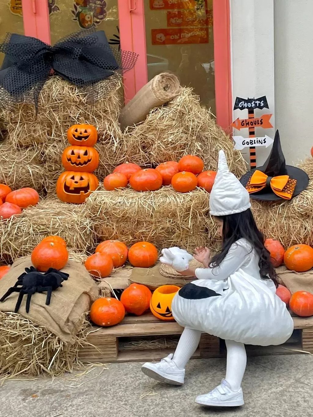 IMG_4462-1728737346369