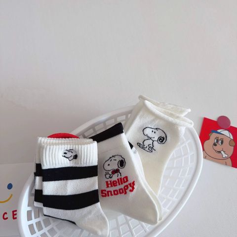 image_B0A6FE79-4EE4-4F19-B5CA-481110817BB9_1760860067