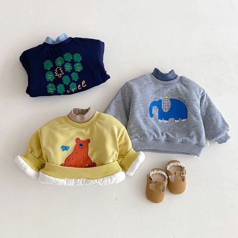 image_C1EC1E8E-54E3-4FB0-AC71-9732645A36DA_1762857877