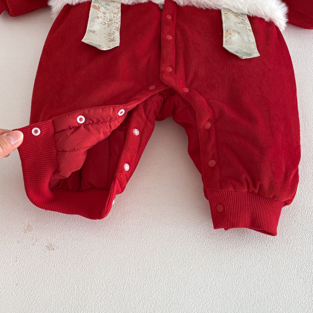 image_4E8945CD-A467-44E2-BF7D-BD1BF0EADCE1_1768150359