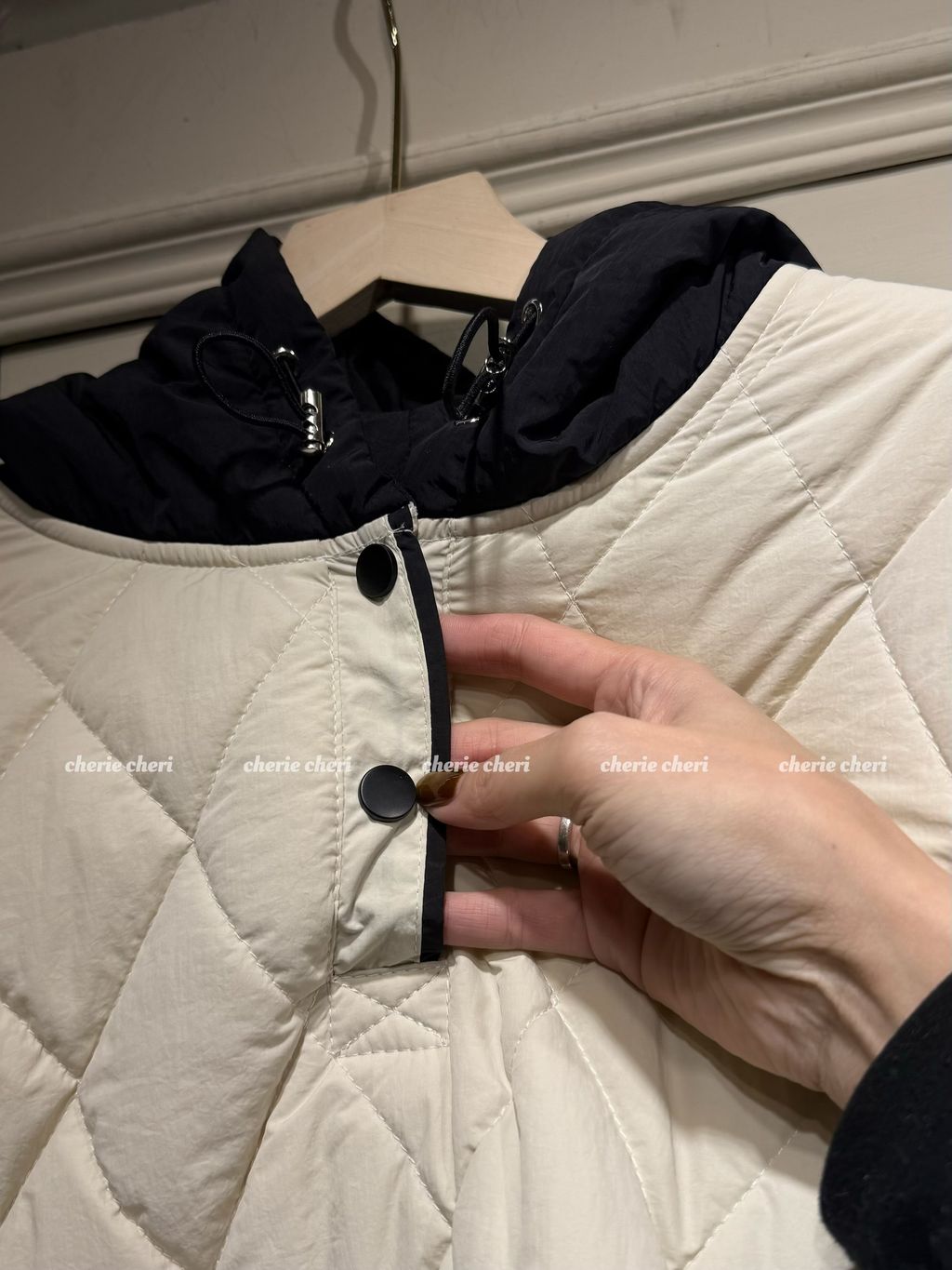 IMG_6625-1736574442577