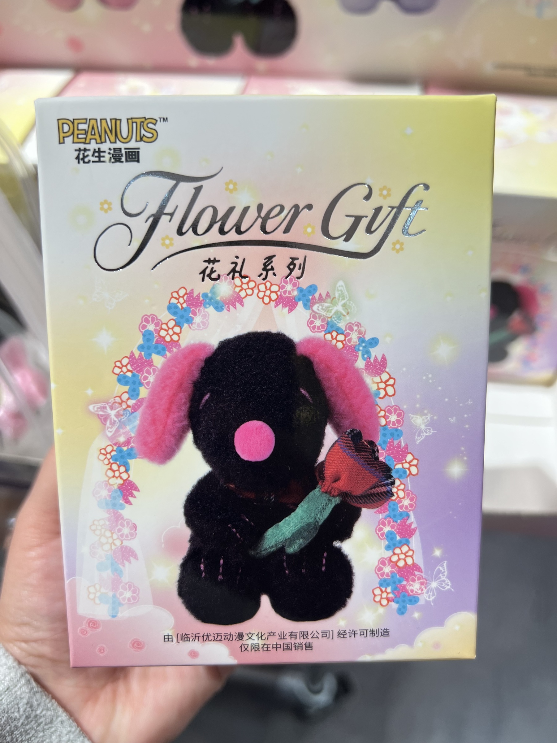 image_49D599CE-F614-4C56-B0BF-BA5BDAC743C7_1772856822