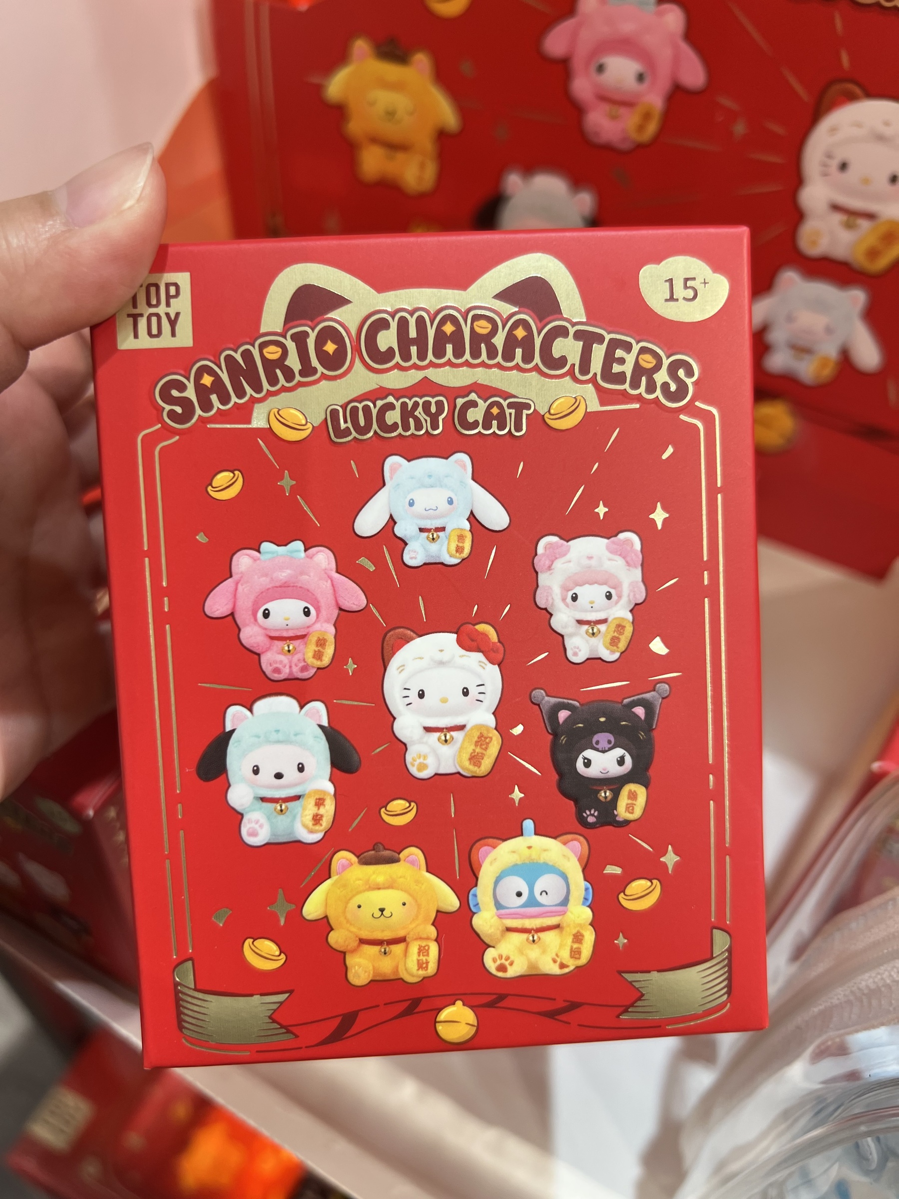 image_B383481F-001E-4473-B817-E730F5F20882_1773133226