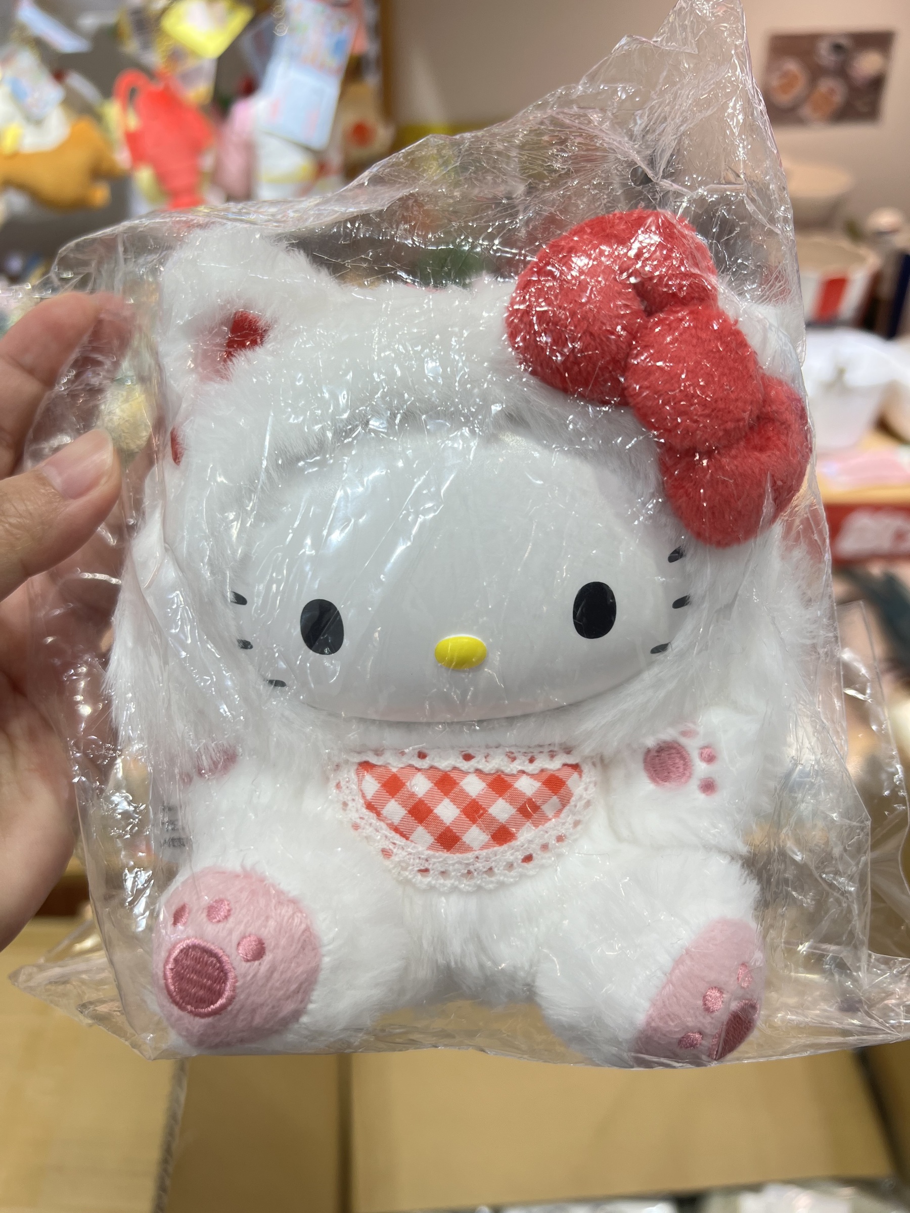 image_C0A5D3B6-82BE-4303-A010-9F6F66822A3B_1773137787