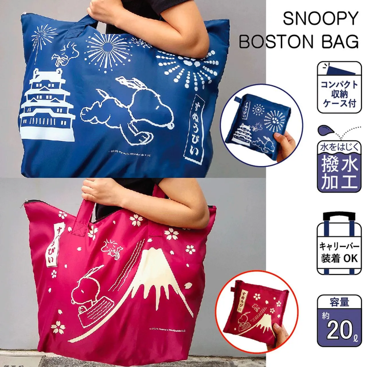 WhatsApp Image 2026-03-11 at 8.58.49 PM