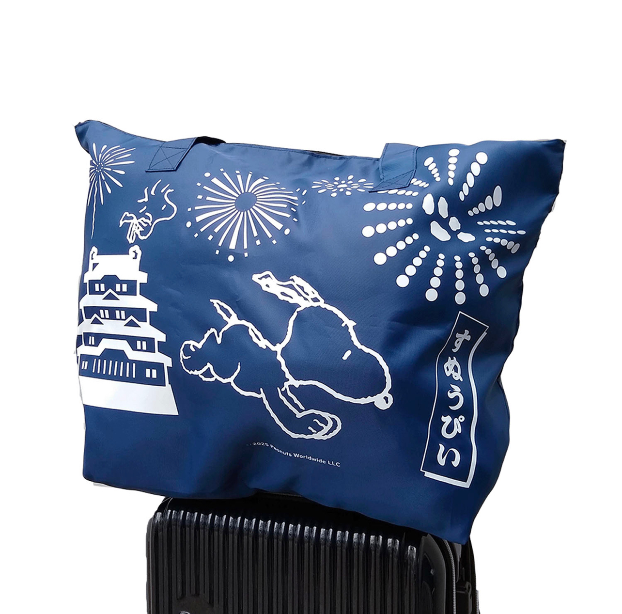 image_BC28BC96-734D-4B82-9B36-B3C3B7E243DF_1773236554