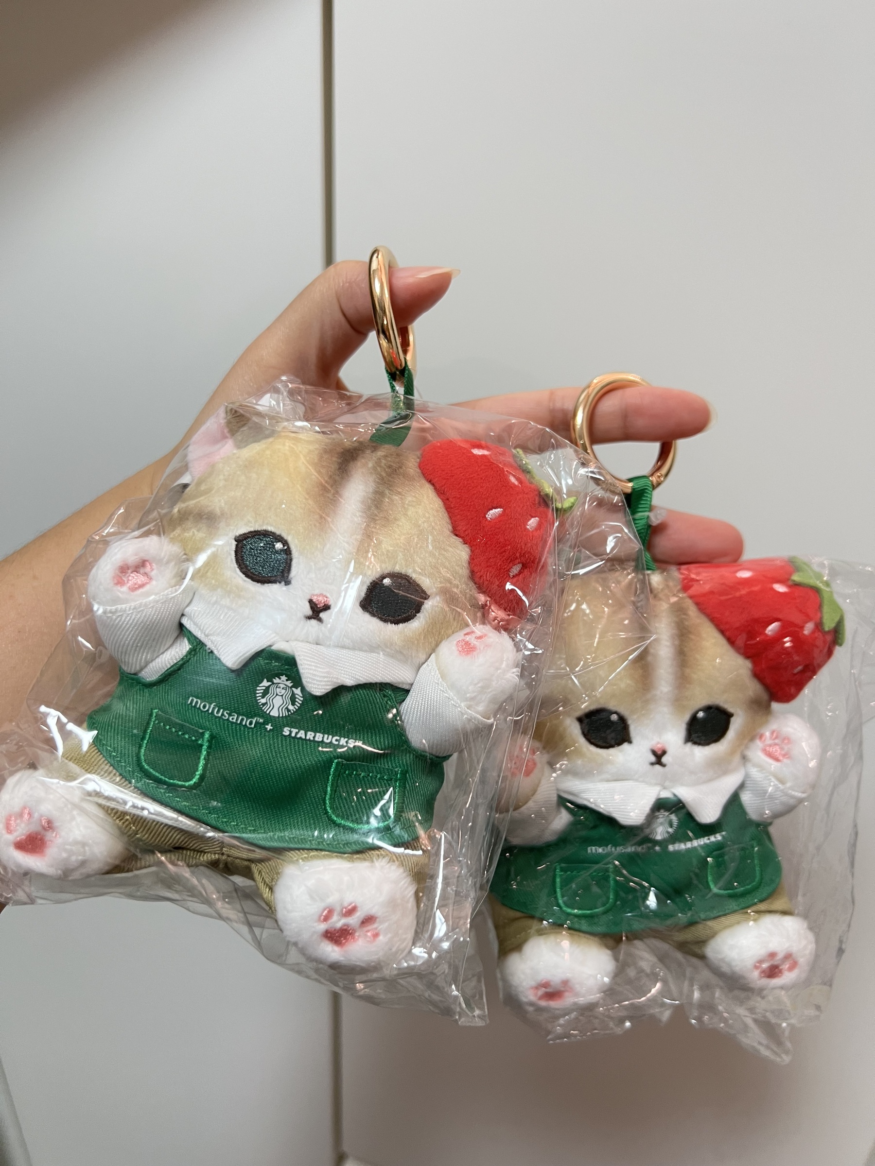 image_1AFE3C4D-3646-4840-B471-4707DA39CE6F_1773736085