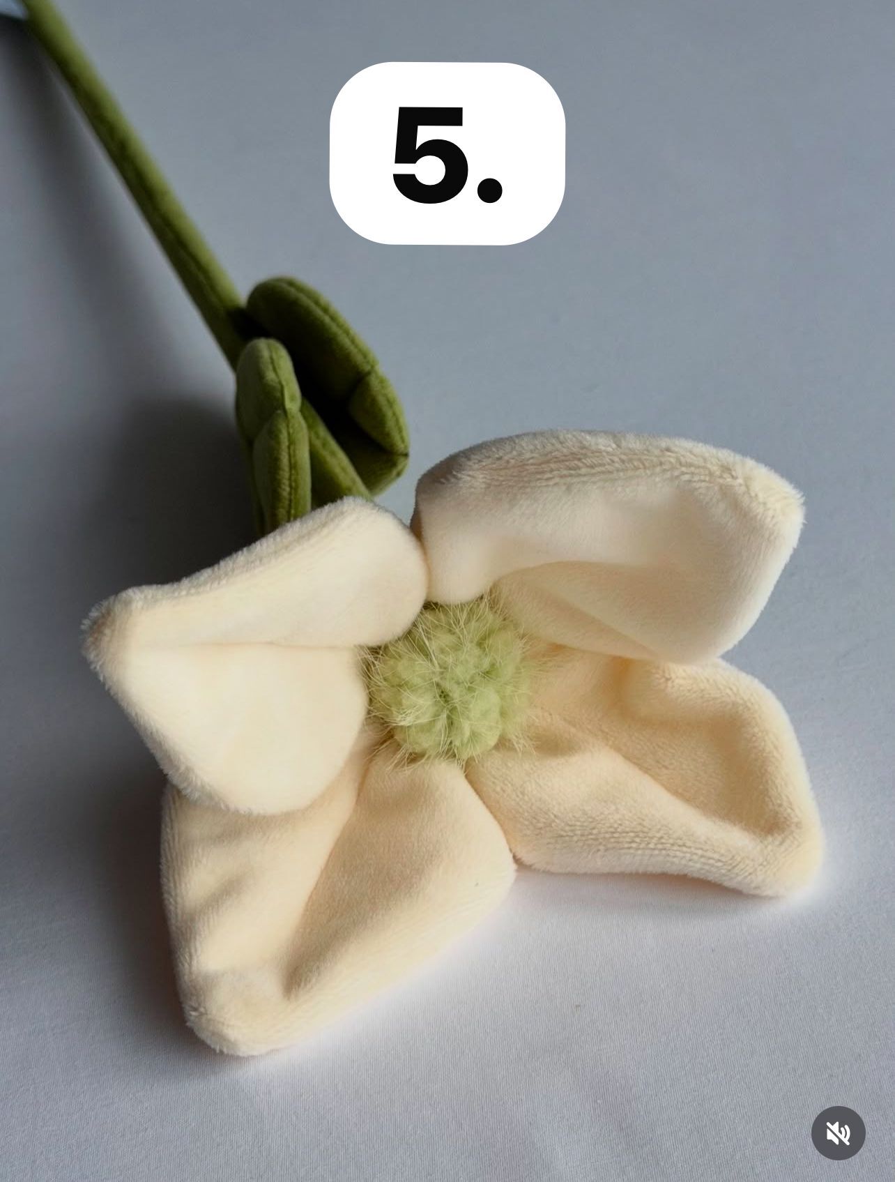 image_42F6544C-55F4-4B91-B4DD-5BA31B50FCF4_1773756609