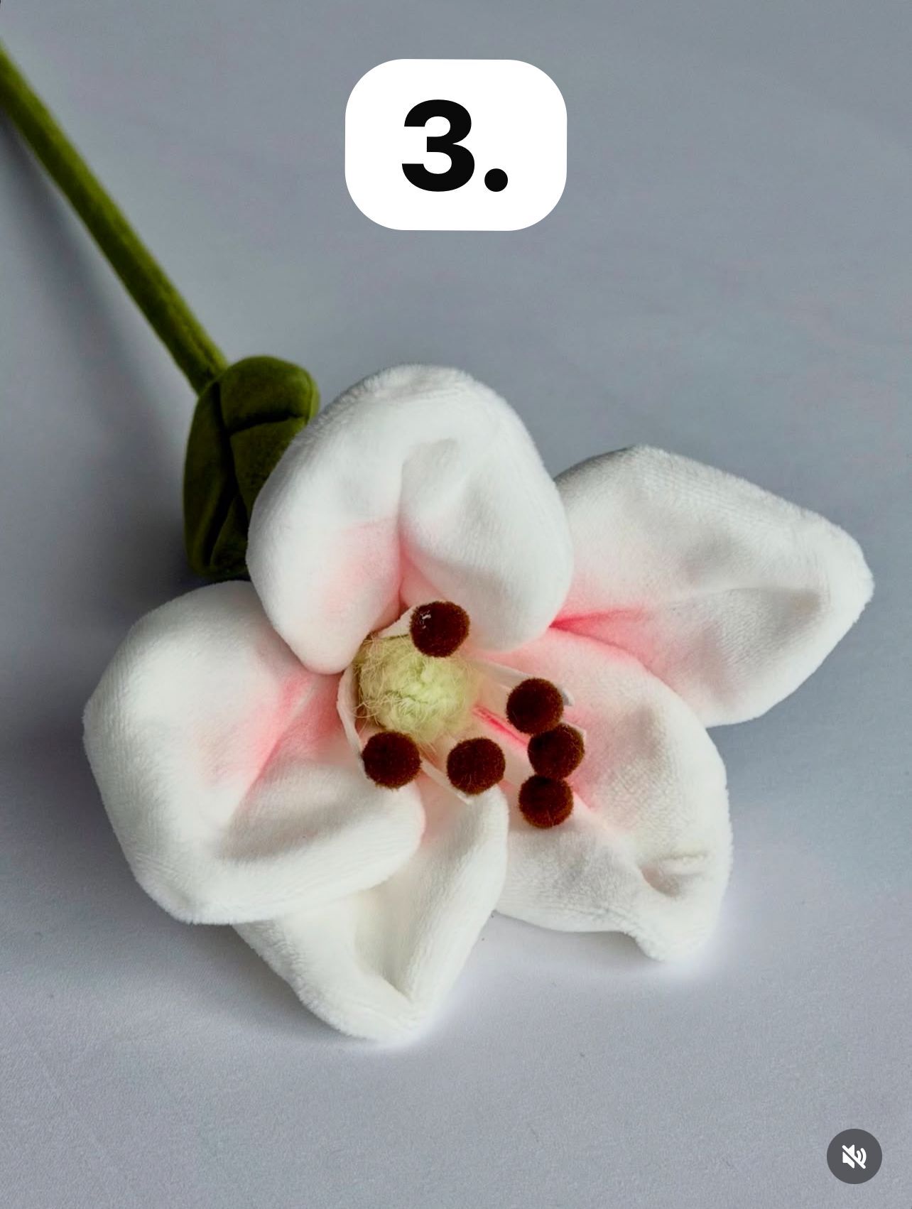 image_868973C6-DF3F-499E-BEFA-19F3316E4EAB_1773756609