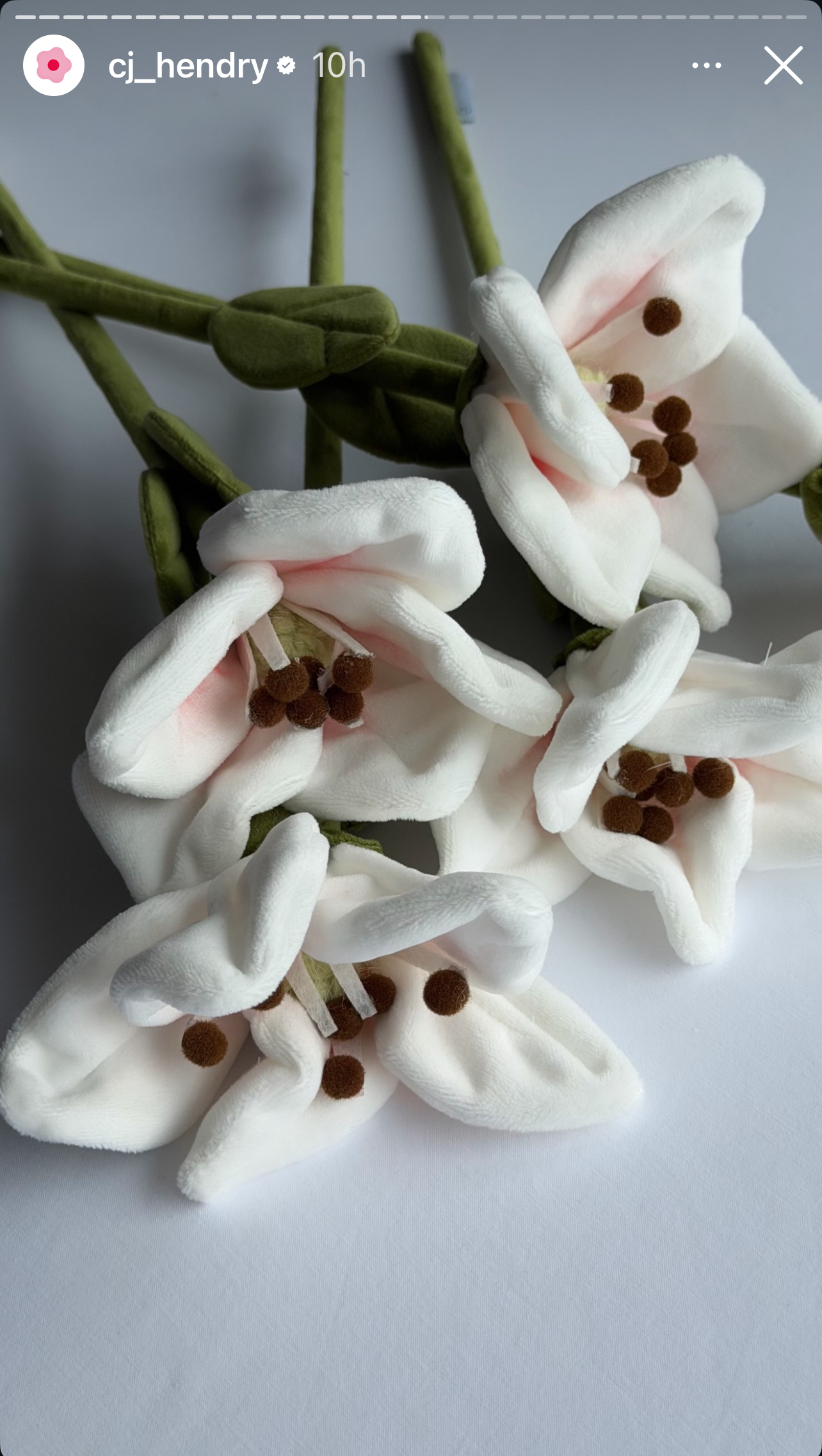 image_A65C1044-D54D-4C96-A839-A00986948CD0_1773756609