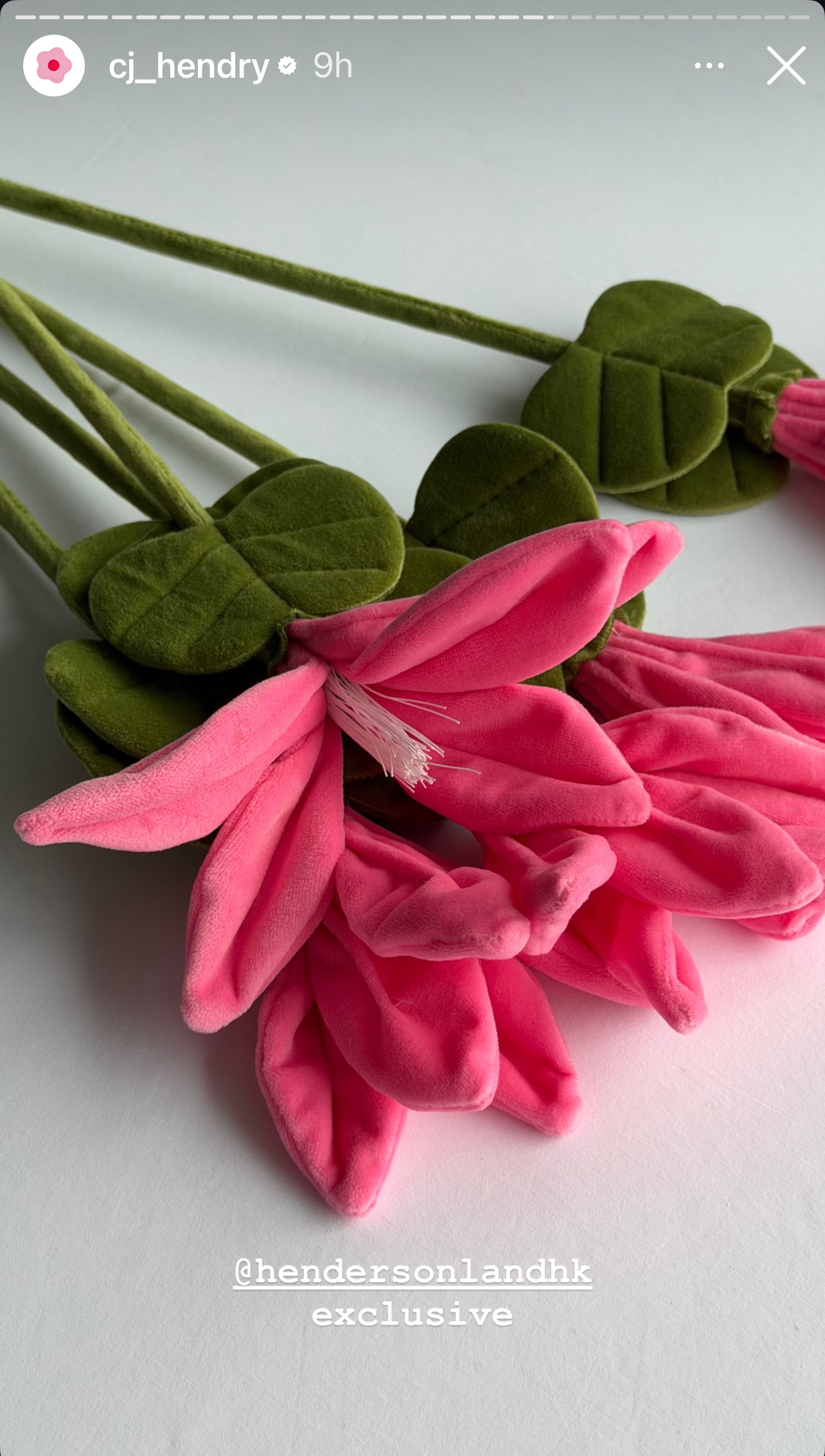 image_F6AF32BC-CC10-44FA-8998-7A2D73CE794B_1773756609