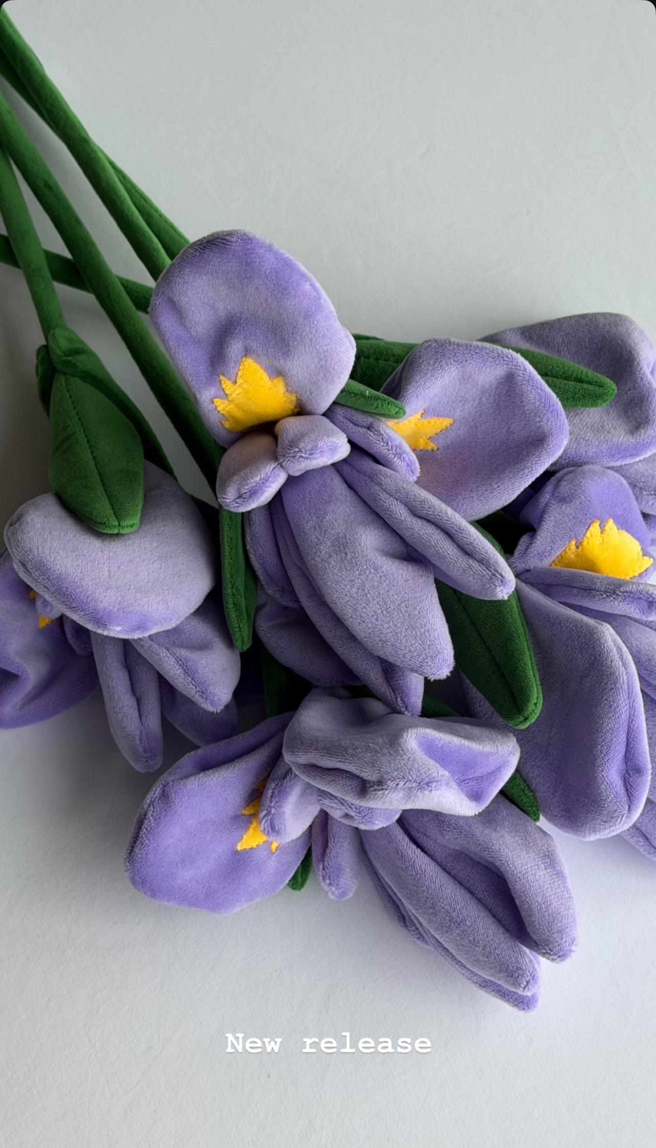 image_8E7EFC43-63B8-47D2-A5D1-2FD57D7B4BC6_1773756609