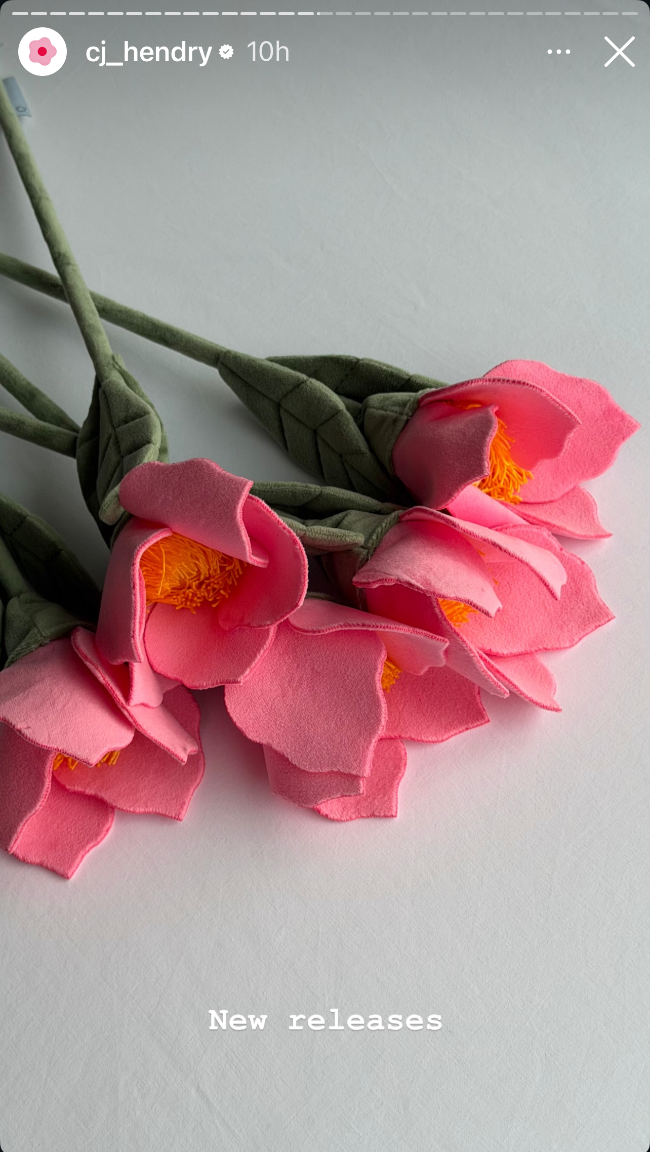 image_4B012EE9-4E31-46E7-B8BA-D3517C4D91E8_1773756609