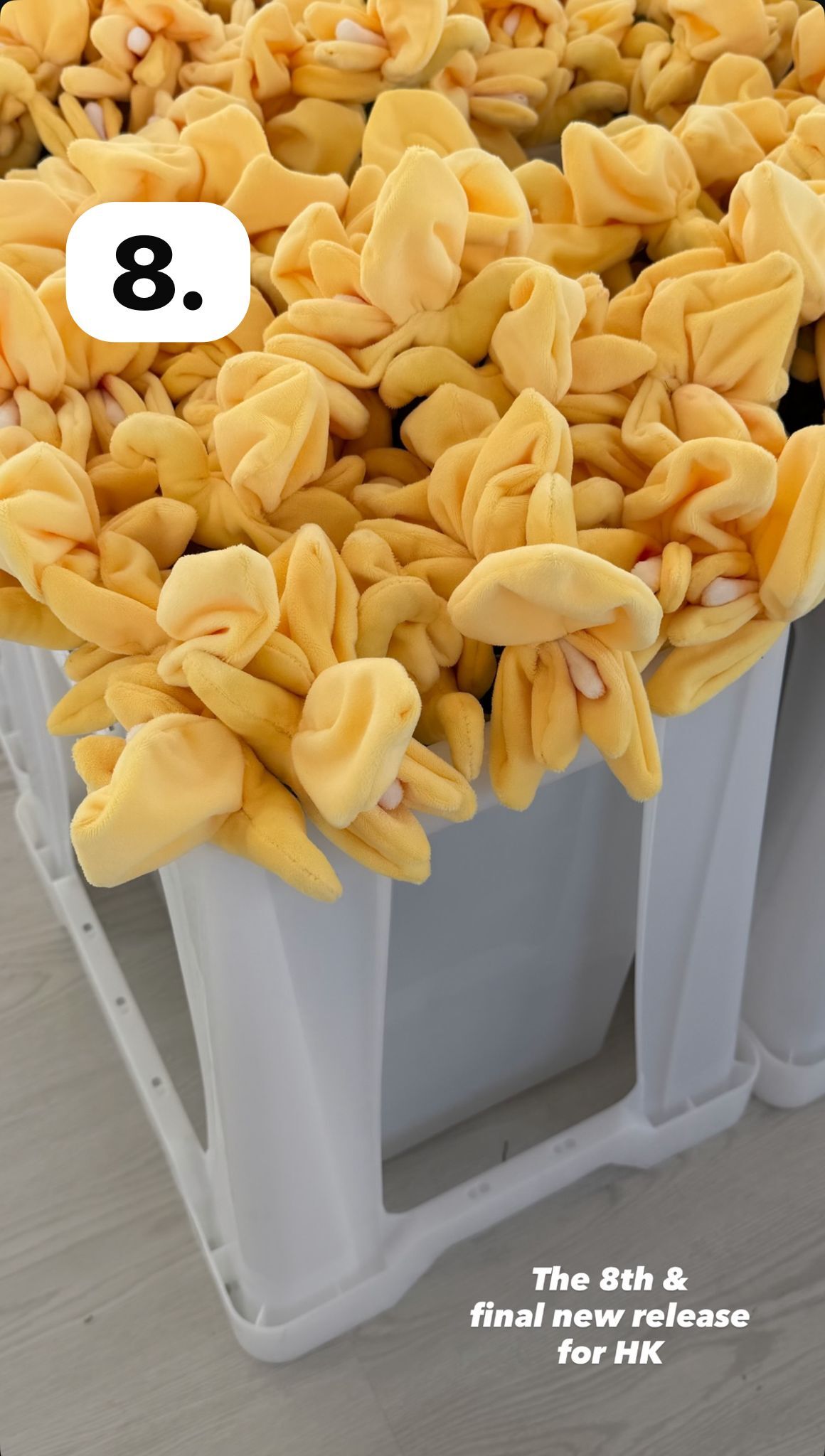 image_042BFE49-5585-4D80-BFFD-E7B78454462A_1773828648