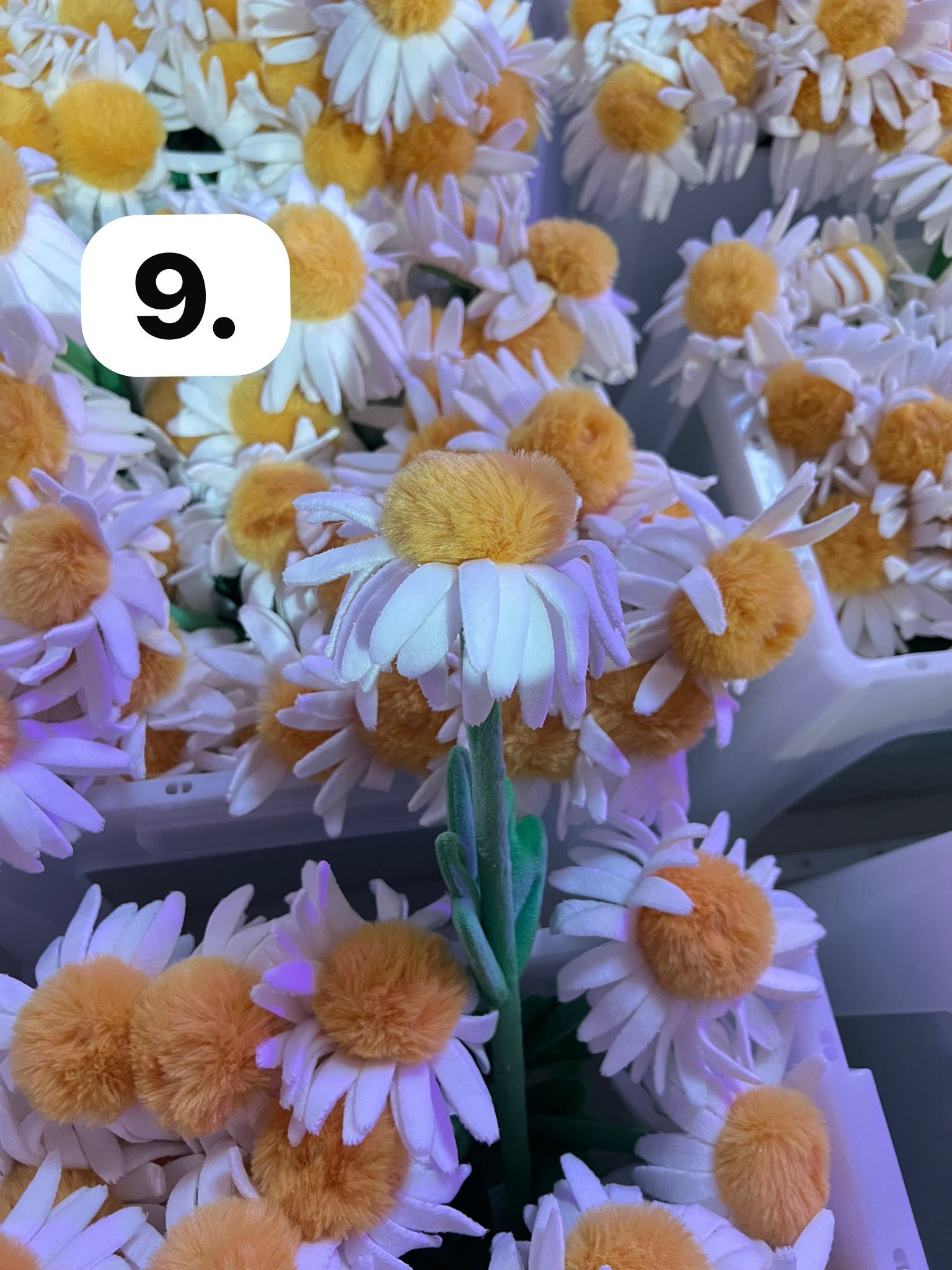 image_089E7311-4453-439E-ADFF-AF1687A8BE2C_1773930045