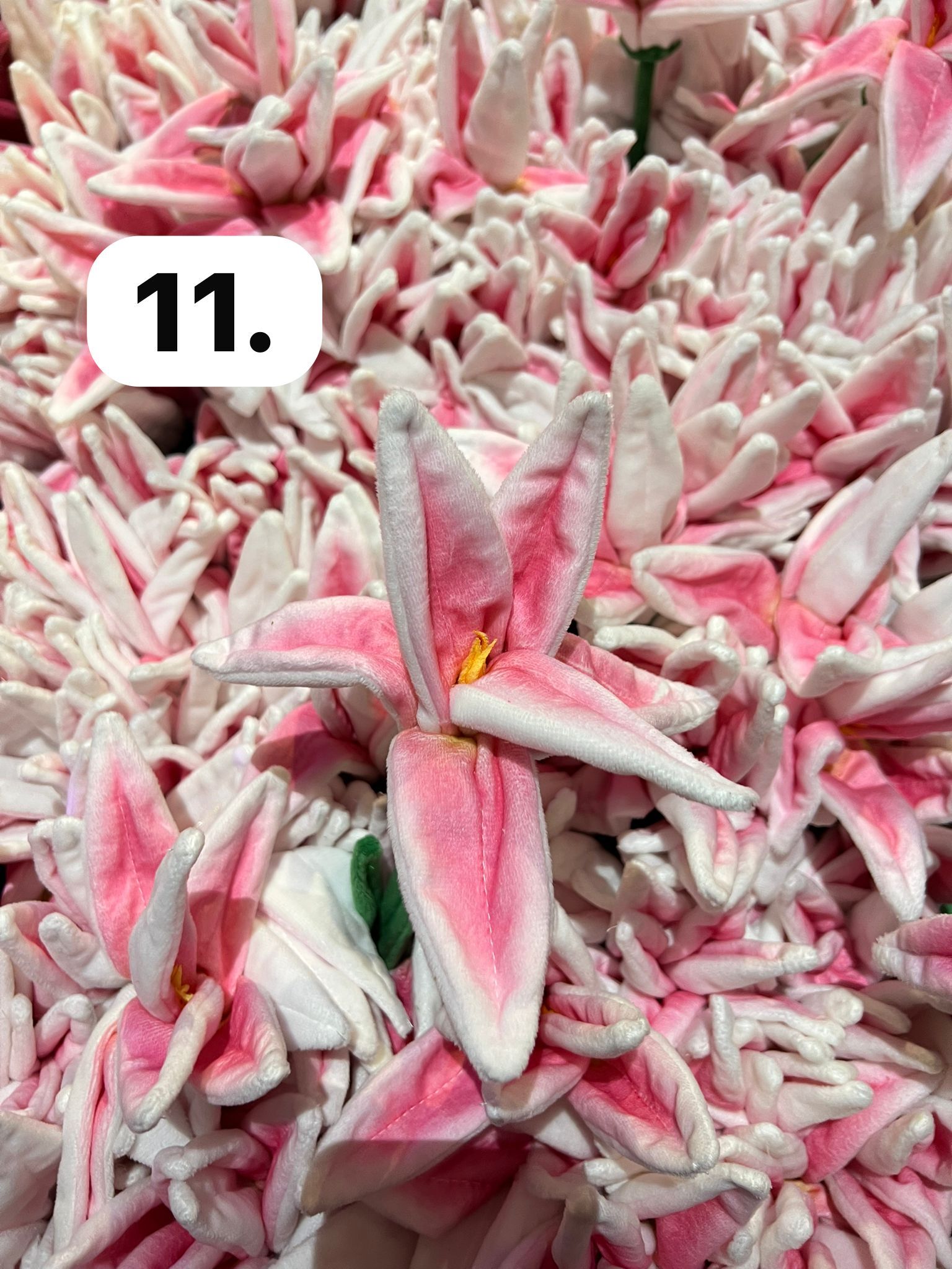 image_365DE9D4-DC94-48DA-8A84-BD91C0090E16_1773930045