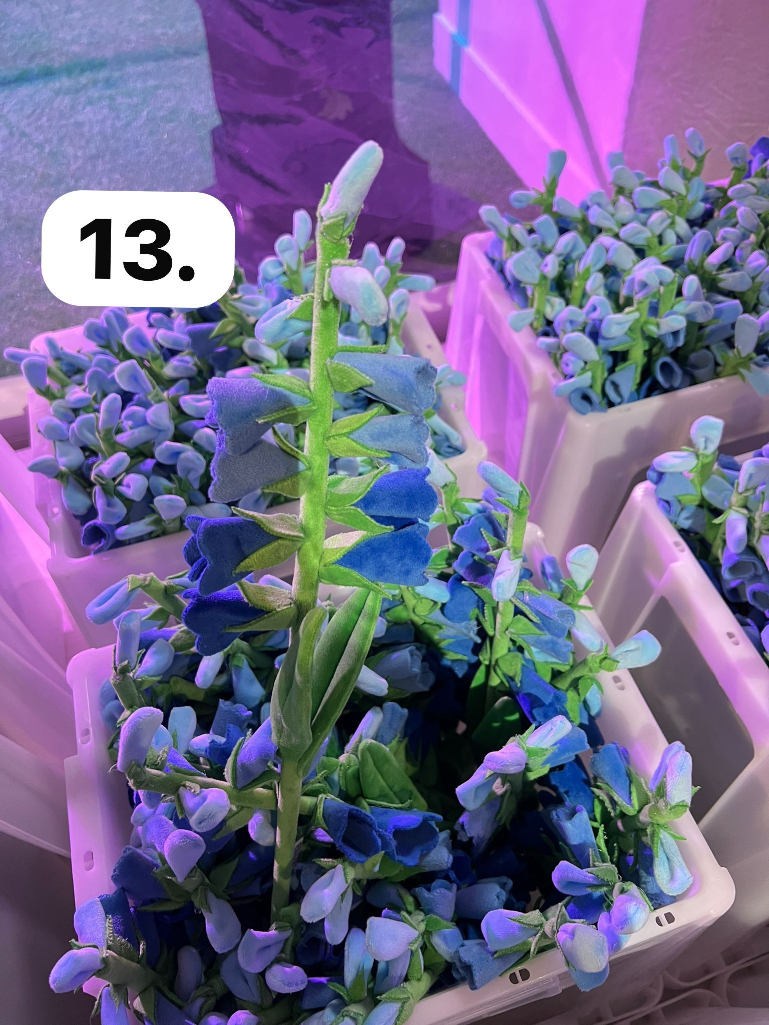 image_607303F2-D56B-4C05-A458-38A452BACC72_1773930045