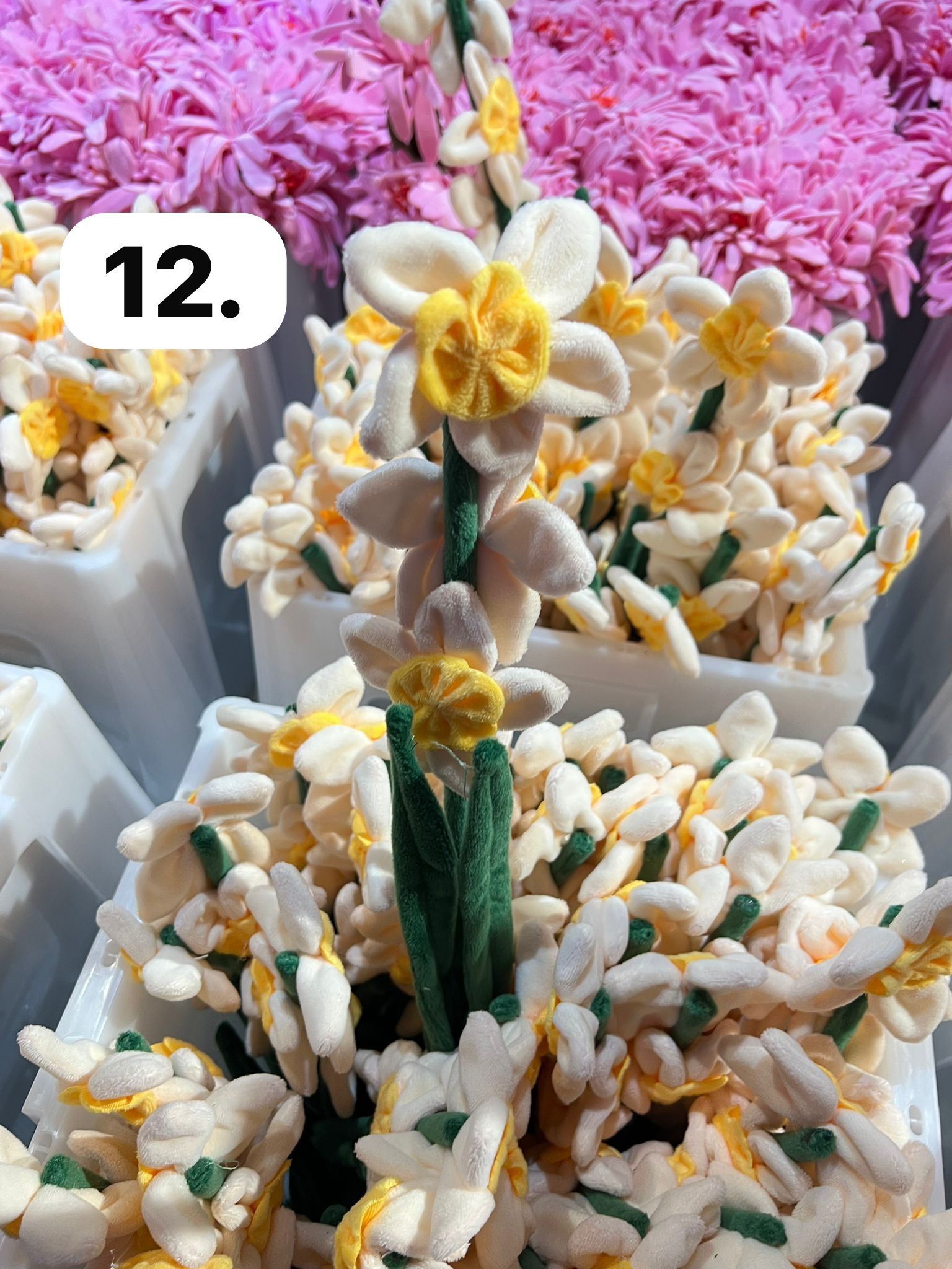 image_731513F6-ABA5-4180-8B8D-98F0AE04EB64_1773930045