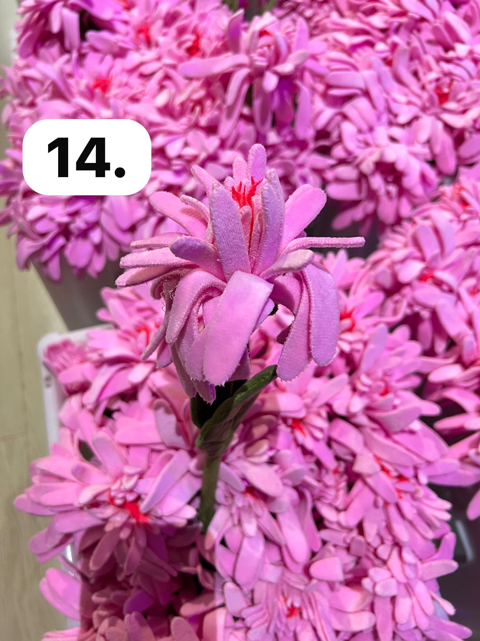 image_A046D79B-C77A-4C24-868A-0DBB5D0EEDD1_1773930045