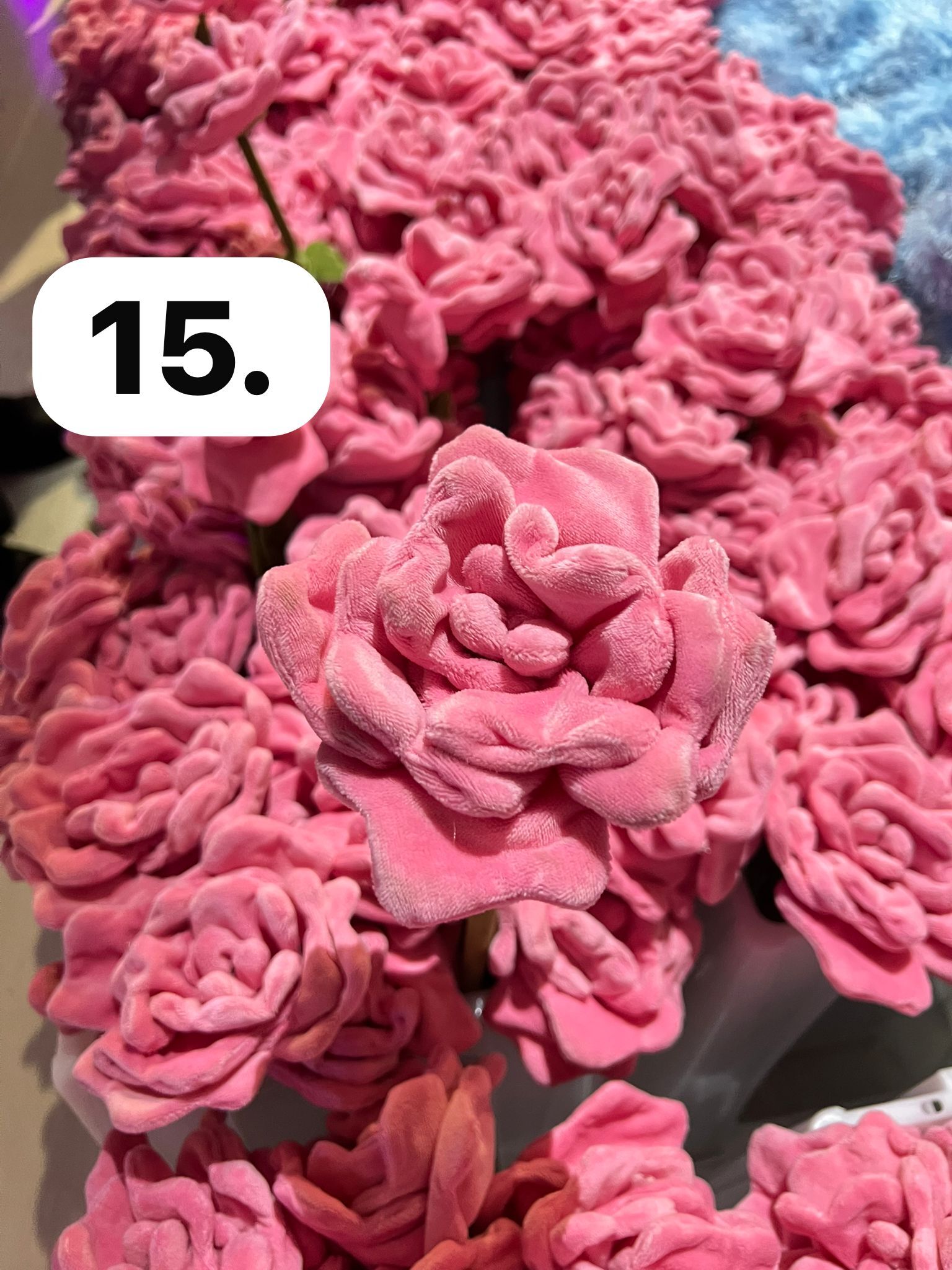 image_614CE230-3A0E-4B3D-882A-960136371044_1773930045