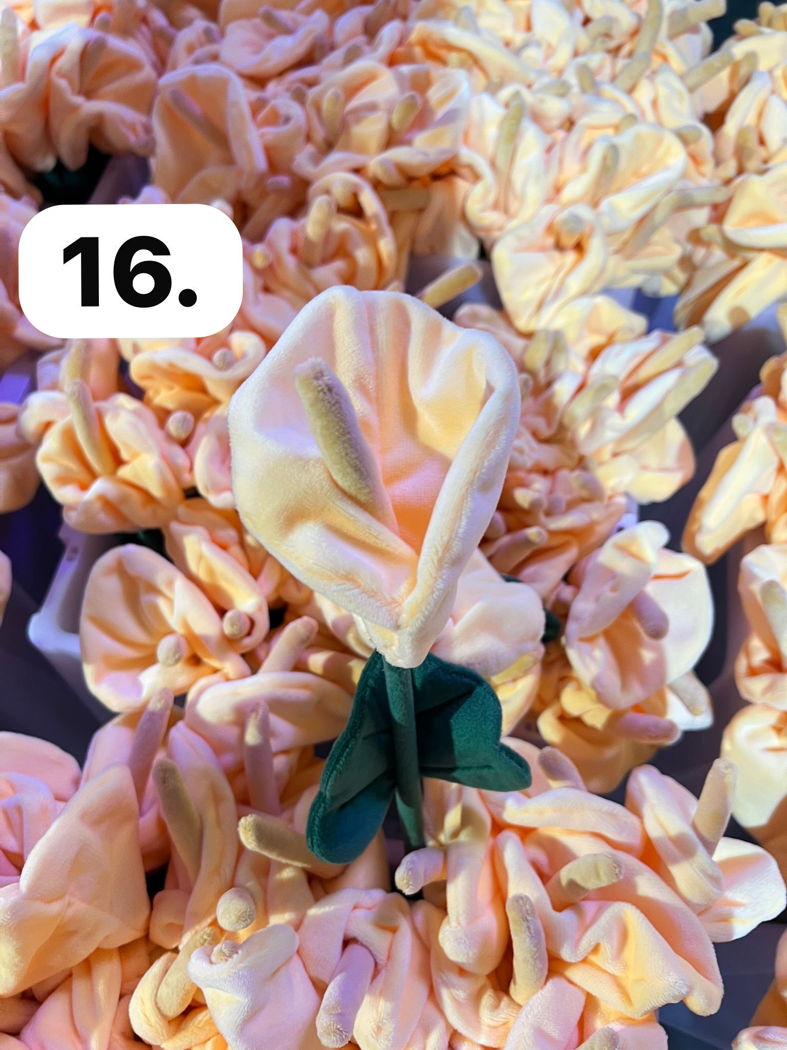 image_0E0C1992-460A-407A-8FBC-BB6B351803CE_1773930045