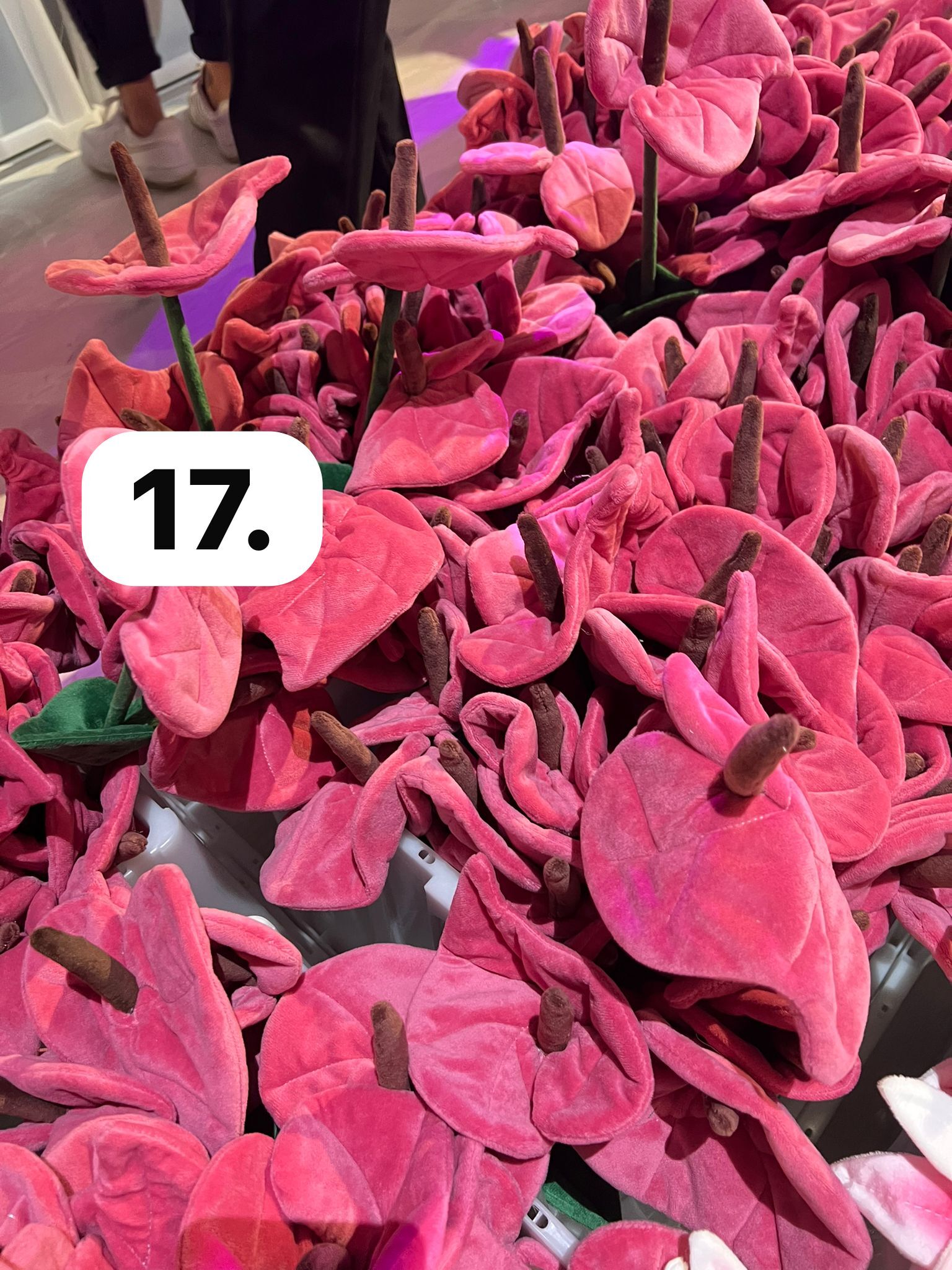 image_666BFD3F-EC3D-4FEA-B040-80DBB72717C4_1773930045