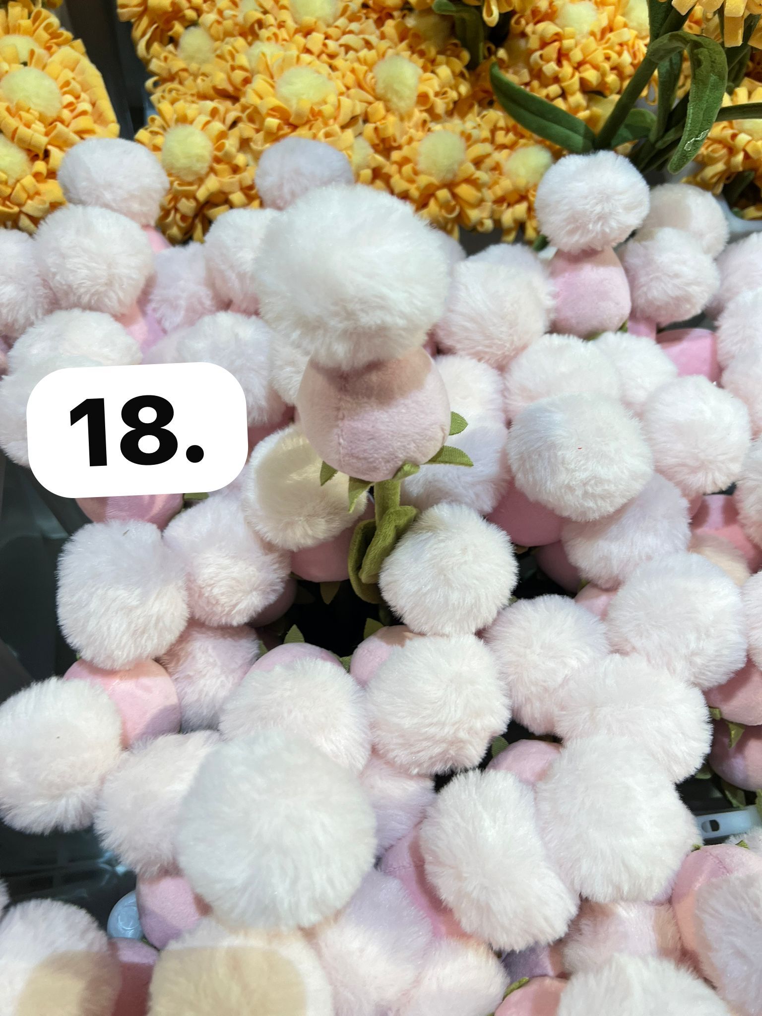 image_0F4CFEFC-3B26-48E9-A9B4-0AD0BBE9819C_1773930045