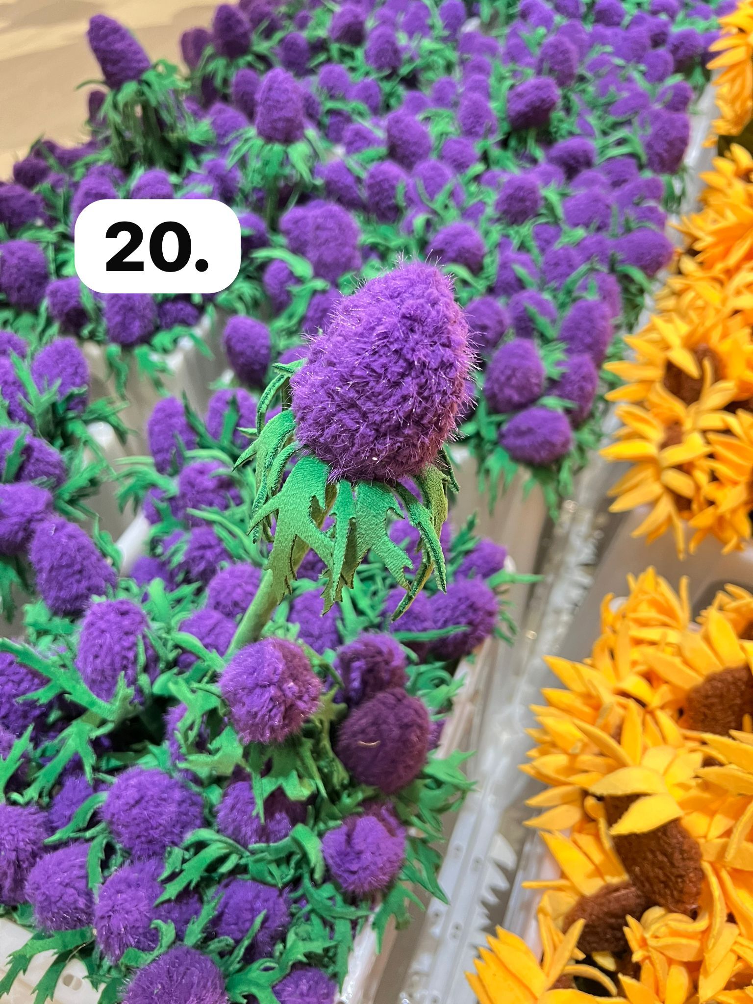 image_41AC8B81-D65C-42C7-815F-C29AD79DF2A3_1773930045