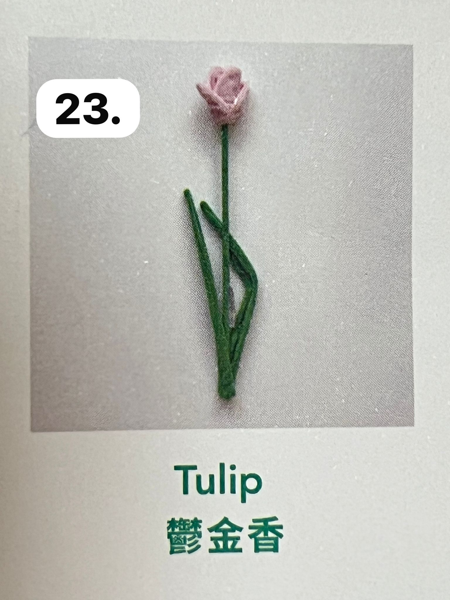 image_5F095F22-107B-48C1-A310-A562B43255D4_1773930045