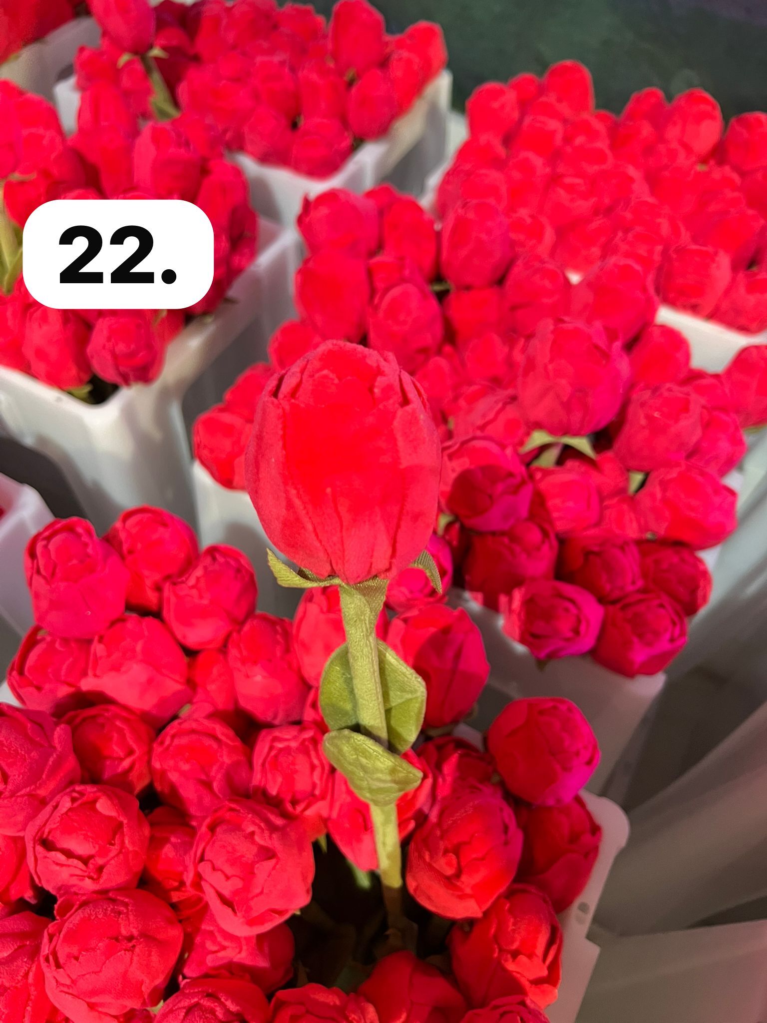 image_736C91A5-9BDF-4A47-B2CD-5BE17C82DF6E_1773930045