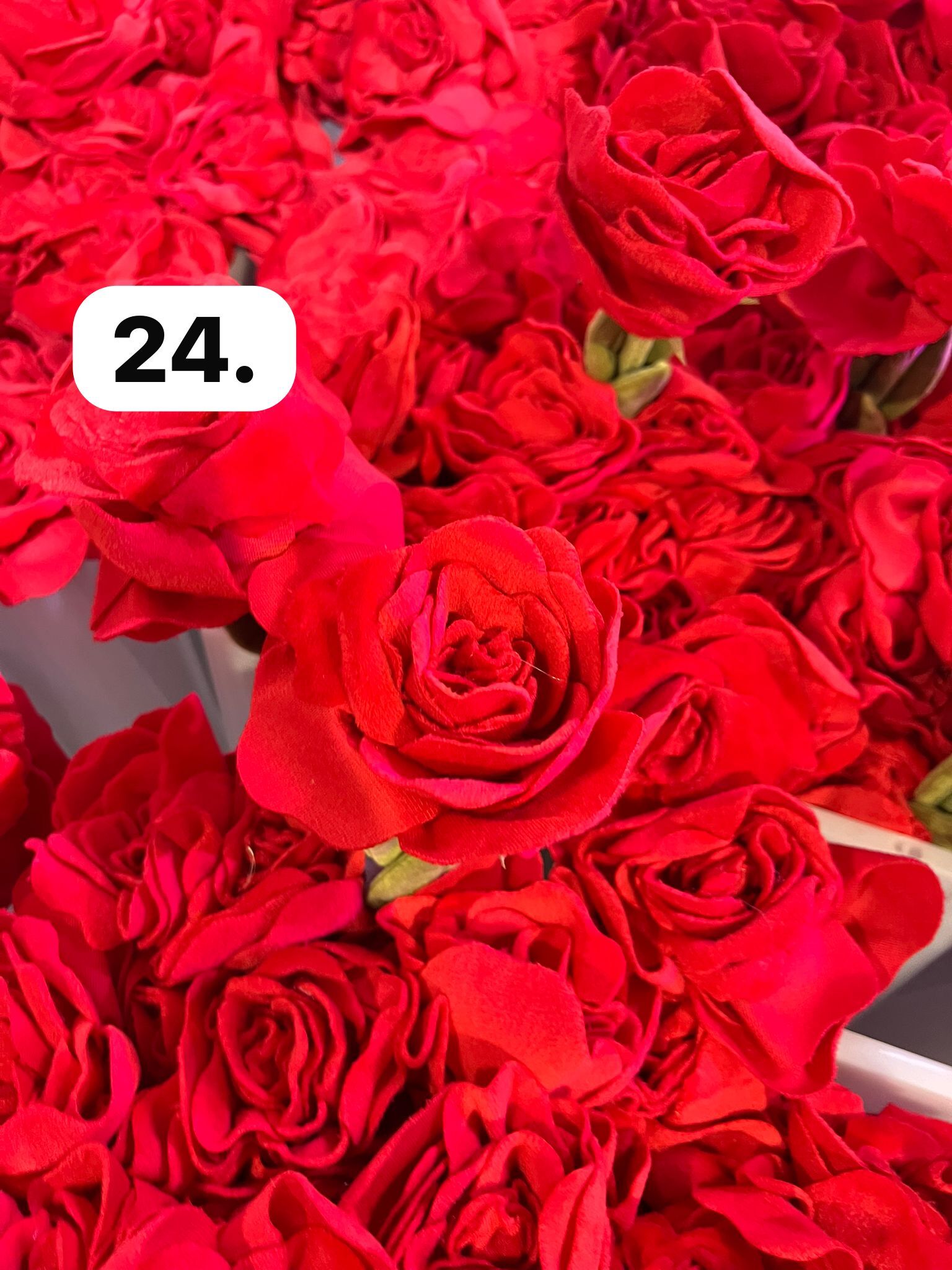 image_10959C05-E134-4F00-9A4A-589684244D2E_1773930045