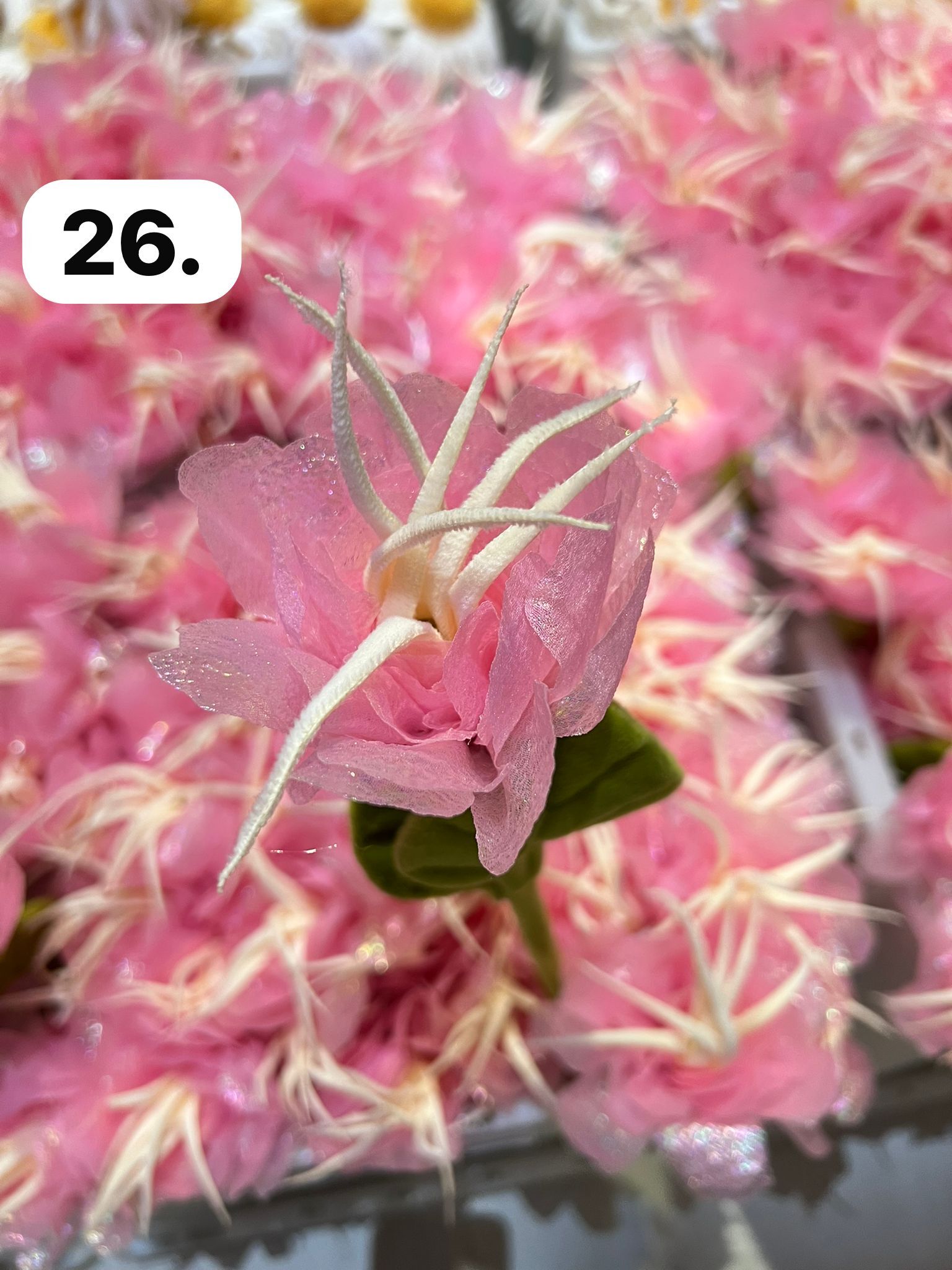 image_7EE90A3C-6A3A-487D-B713-9A28CEE575E1_1773930045