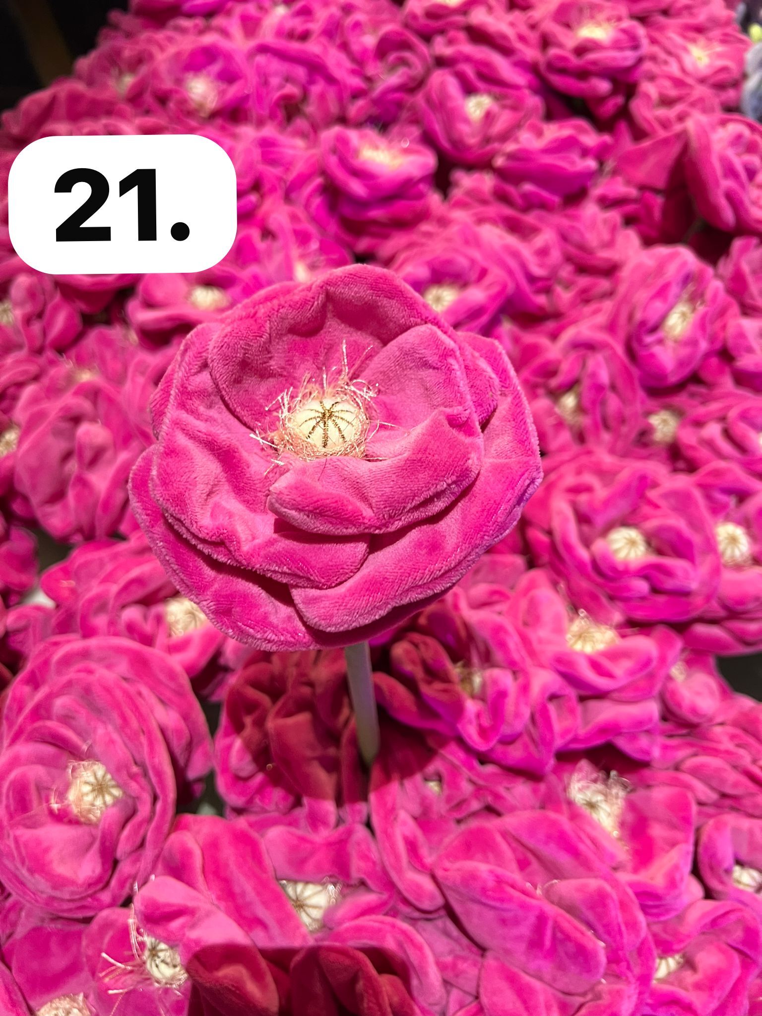 image_17FEFF99-50AC-4A77-AC70-CAEAE89B56D5_1773930152