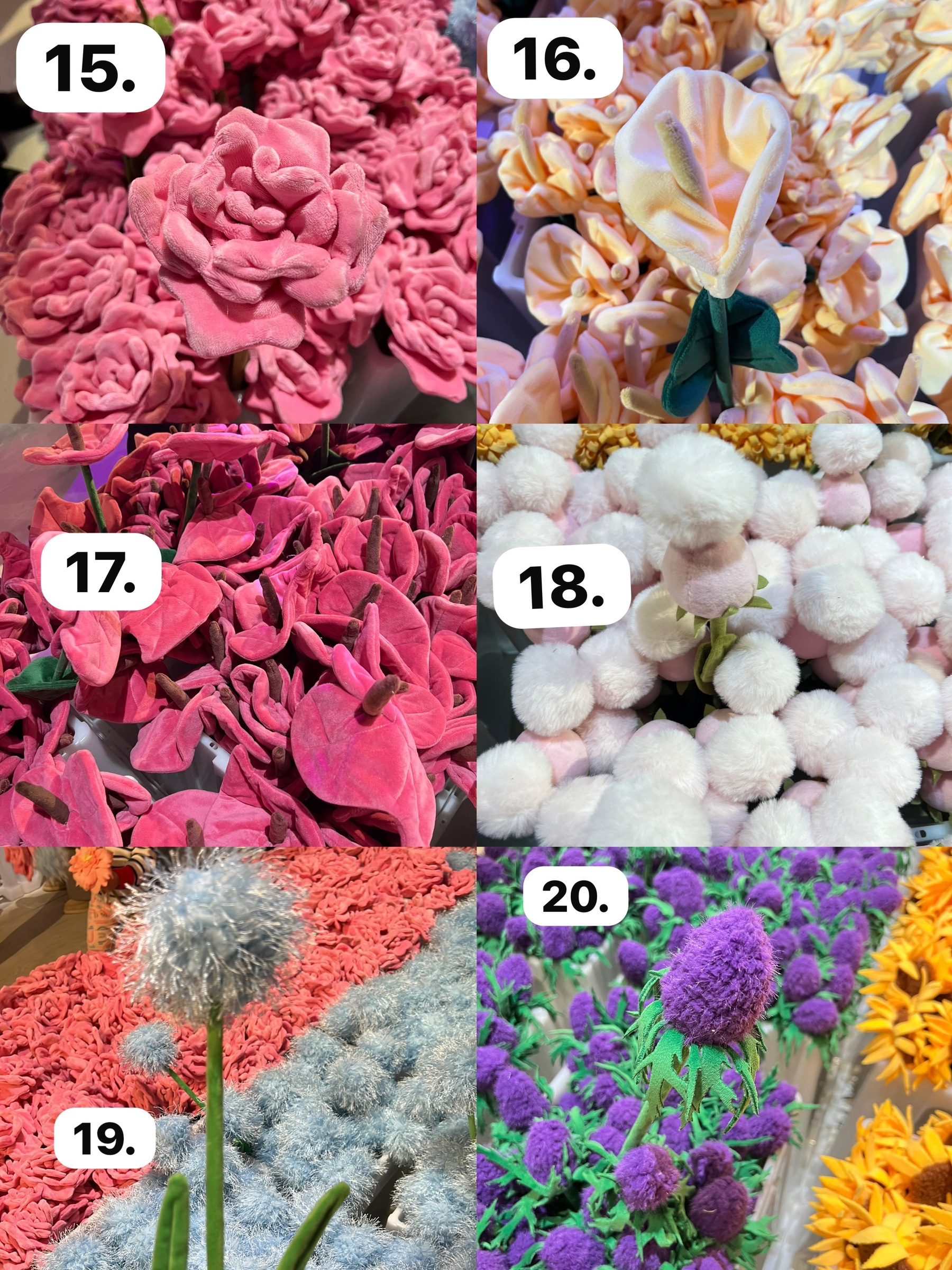 image_431F14E9-E8EE-4A26-A927-E14809A8D607_1773930466