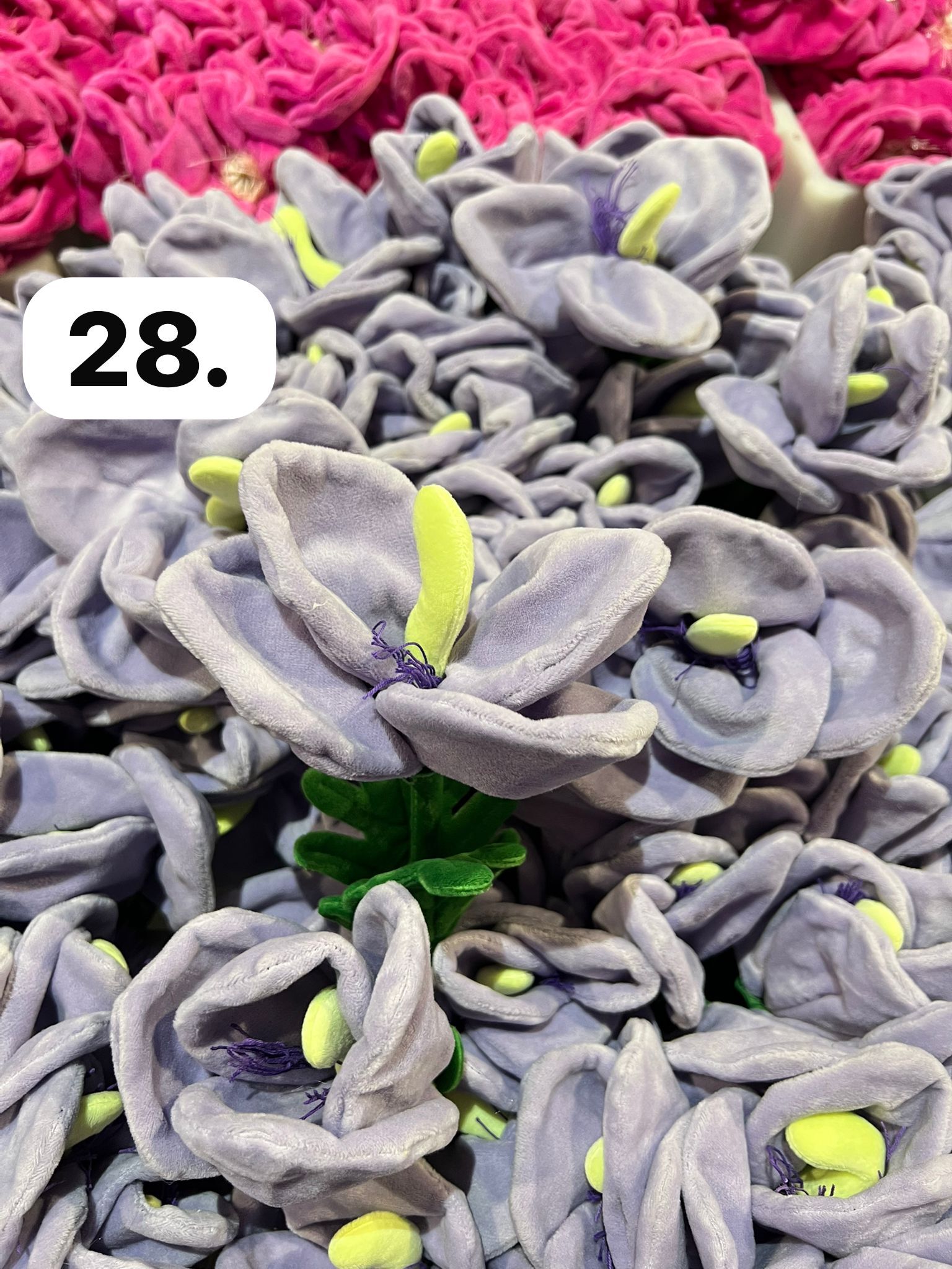 image_E2991835-8335-4E9B-8ED9-C20021E5CAED_1773930820