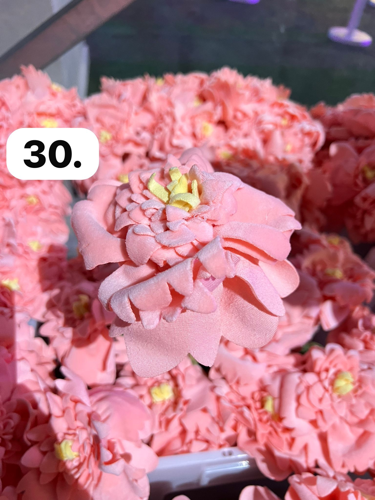 image_F41EB81E-5C6F-4020-9048-9A90874CA891_1774063041