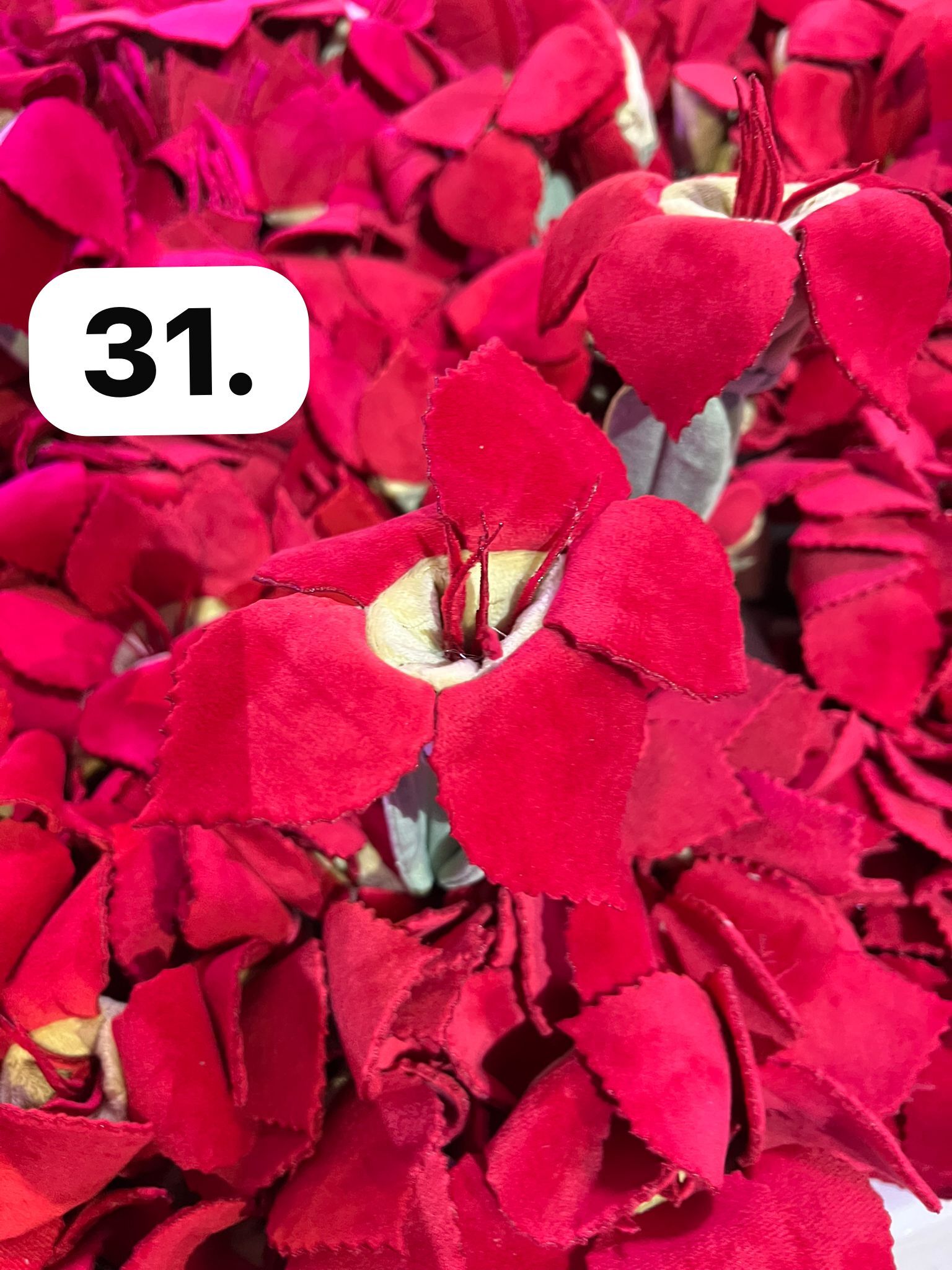 image_CA07E375-6019-4A29-8D3E-C5D1F4010761_1774063041