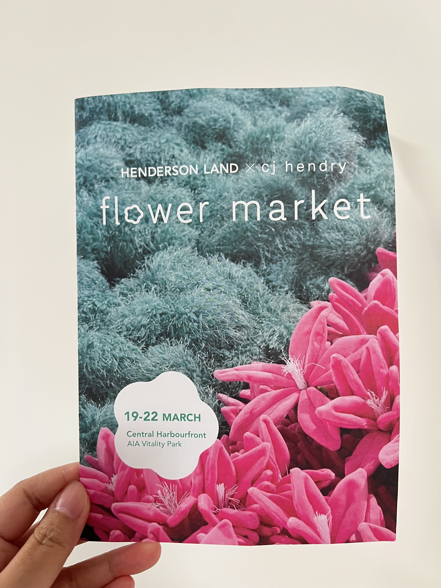 image_2DB848DC-C361-4F2C-9422-A11FE2ED4609_1774260474