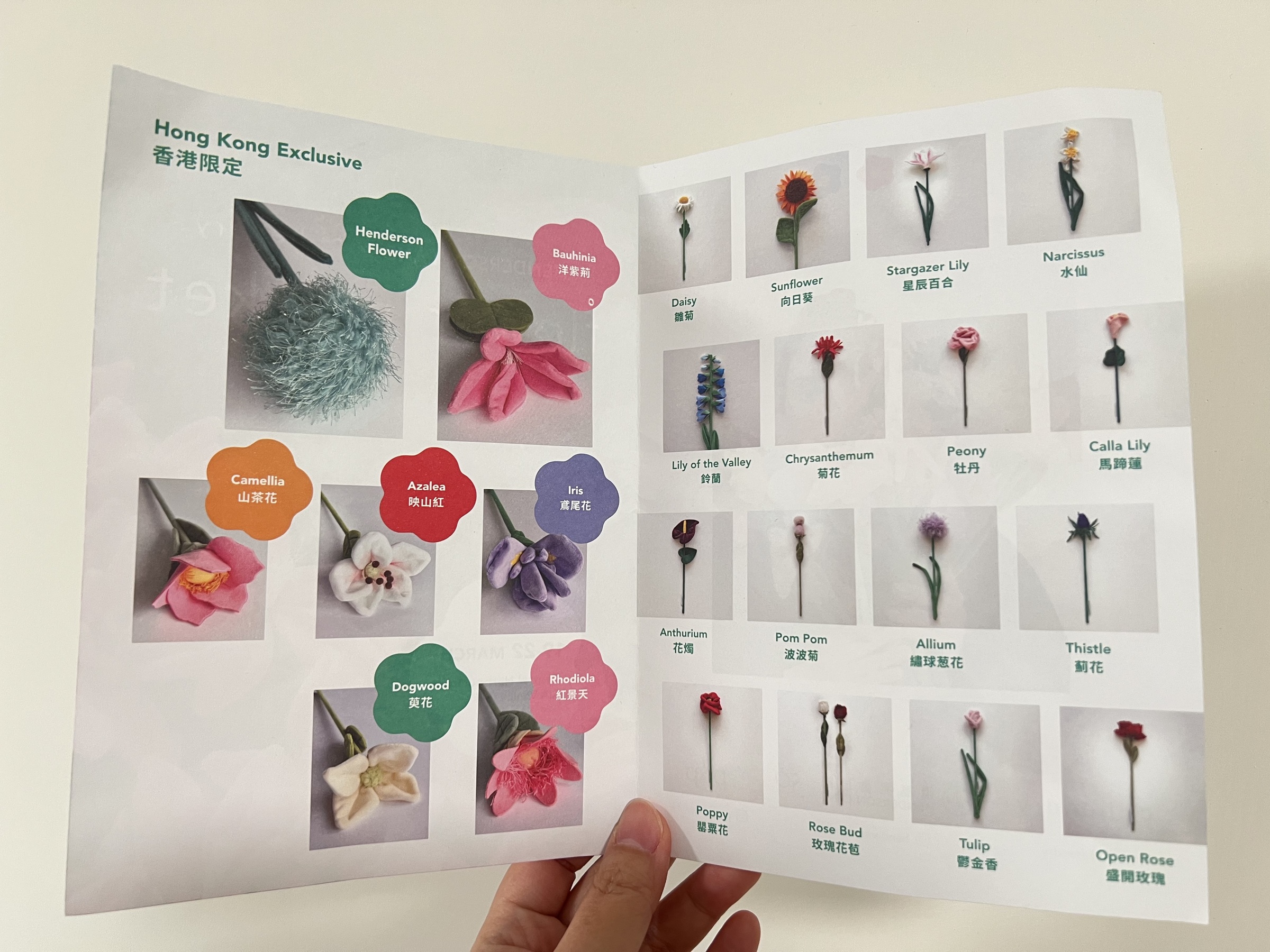 image_DE6B8F39-542E-49CB-A54A-681C2FE30E0D_1774260486