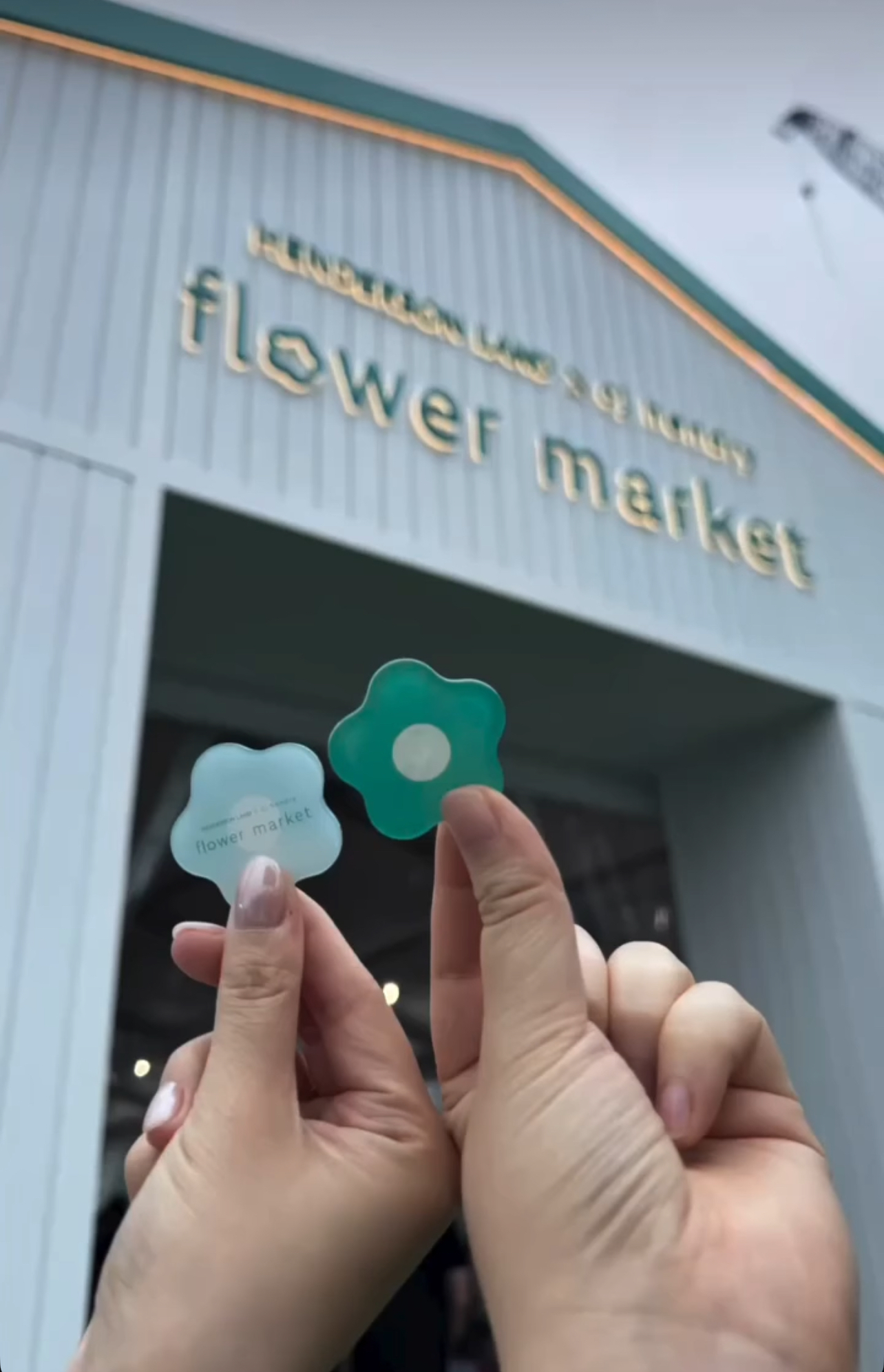 image_493439DE-5DF4-4B7C-93E2-007D1F9099A1_1774260813