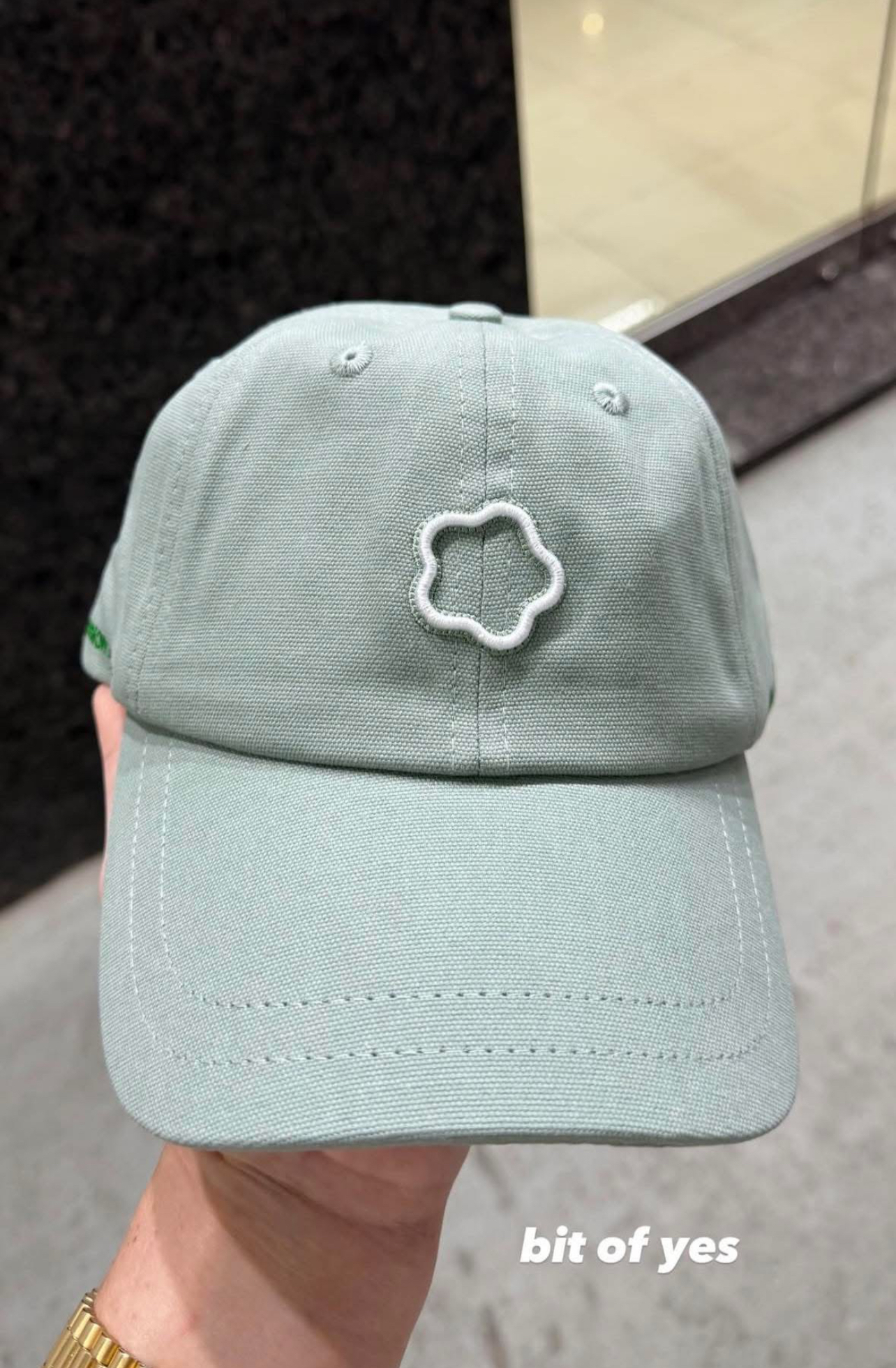 image_2C458F91-F763-422F-B19F-20C1DE2BF8E9_1774368906