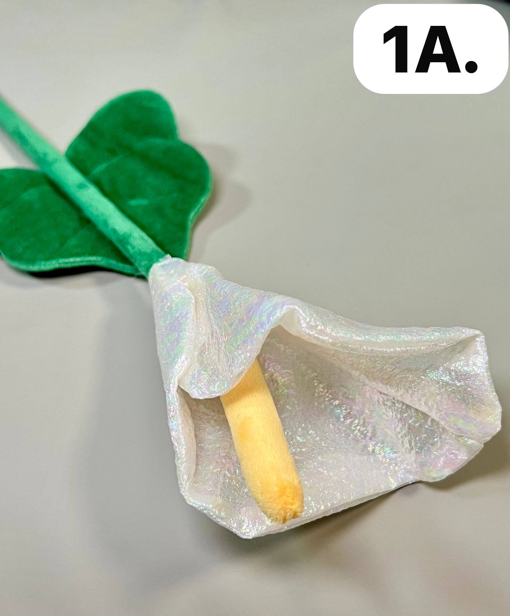 WhatsApp Image 2026-03-28 at 9.55.08 AM