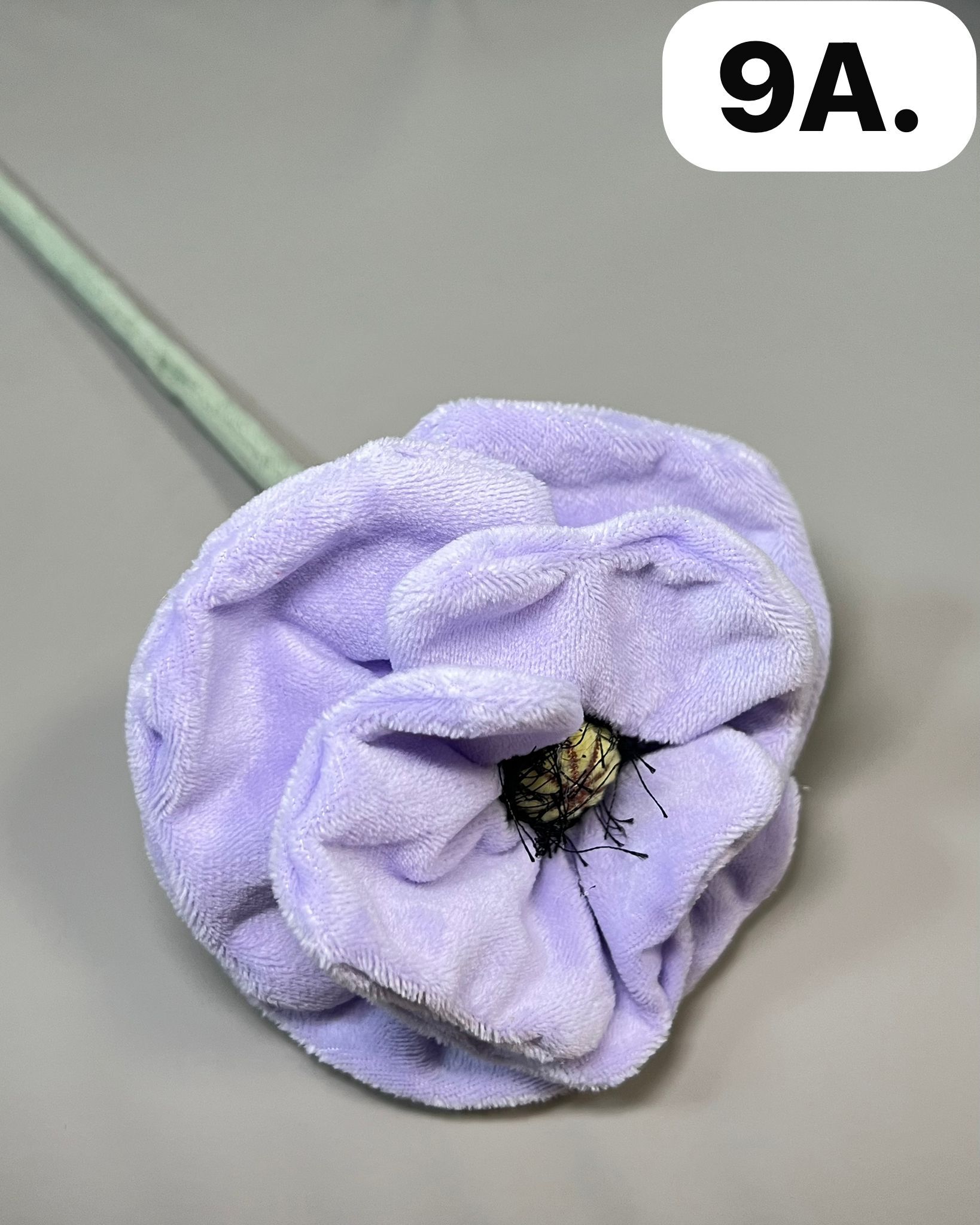 WhatsApp Image 2026-03-28 at 9.59.08 AM