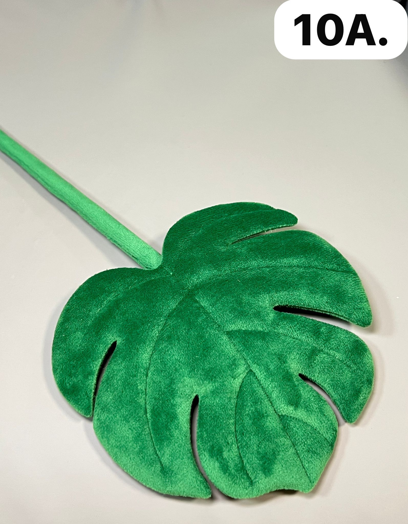 WhatsApp Image 2026-03-28 at 9.59.26 AM