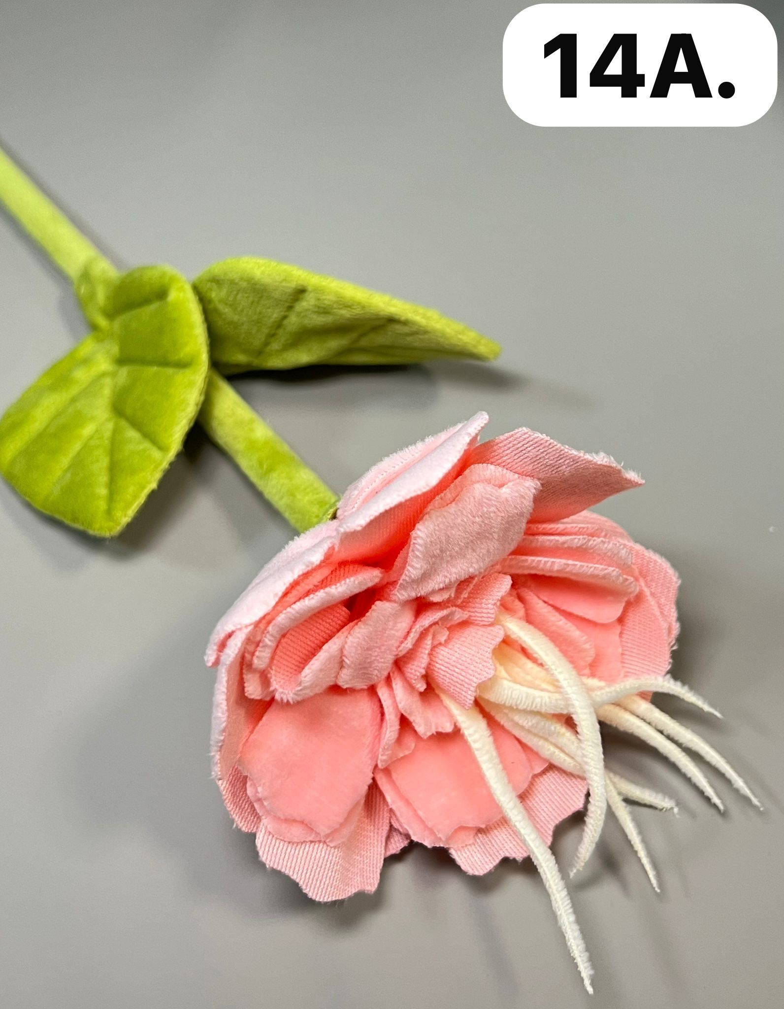 WhatsApp Image 2026-03-28 at 10.01.55 AM