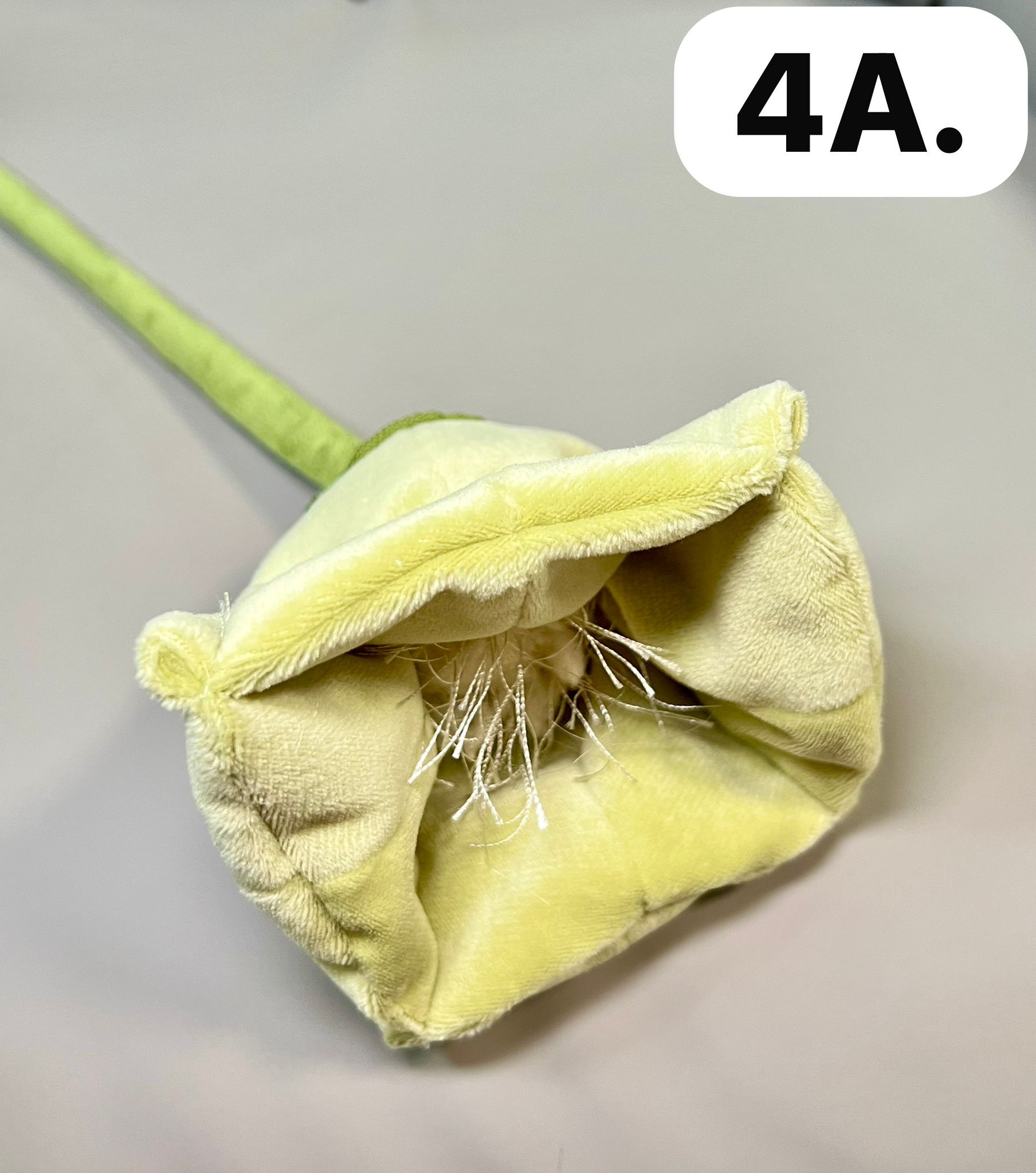 WhatsApp Image 2026-03-28 at 9.56.22 AM