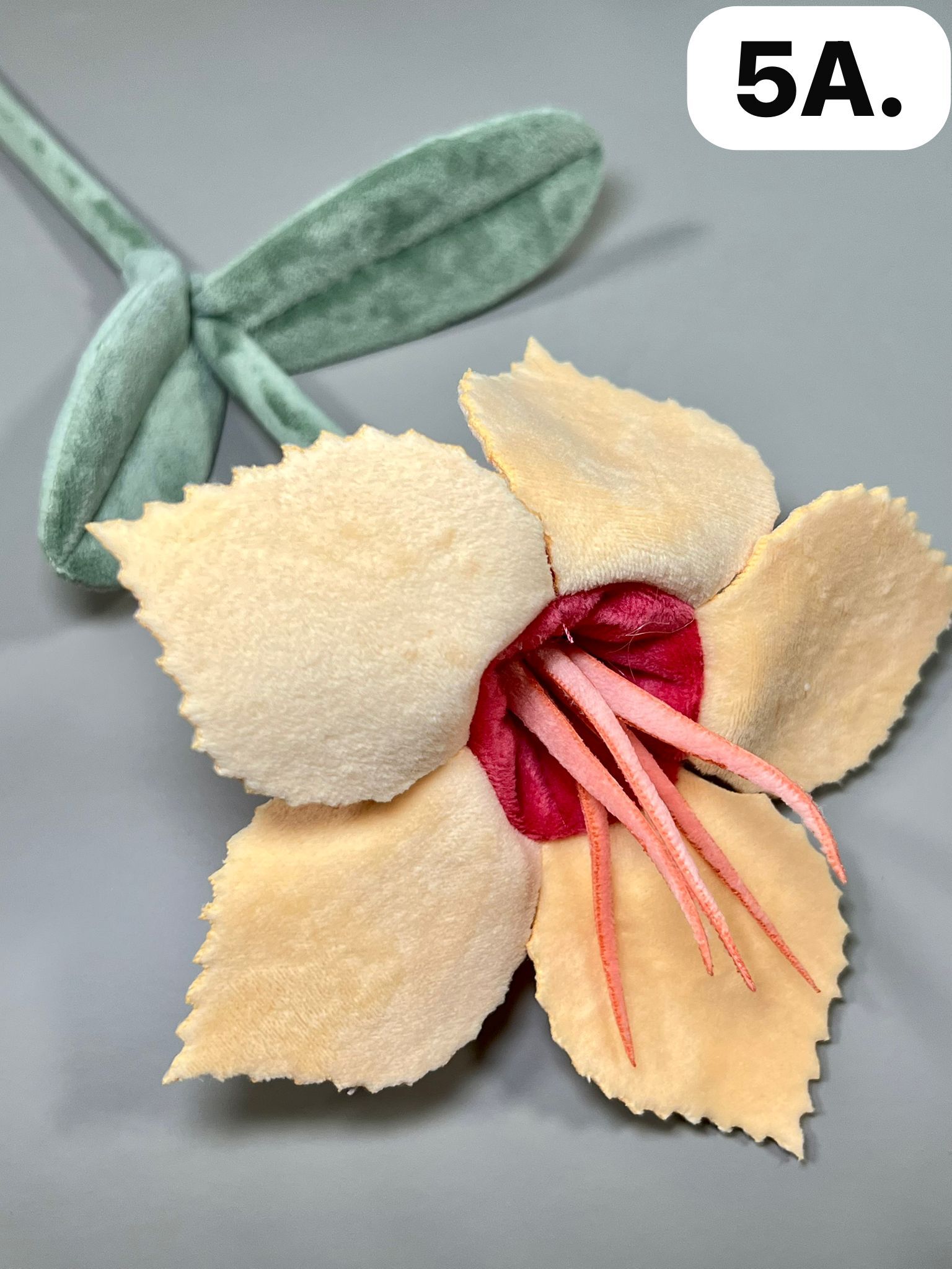 WhatsApp Image 2026-03-28 at 9.57.44 AM