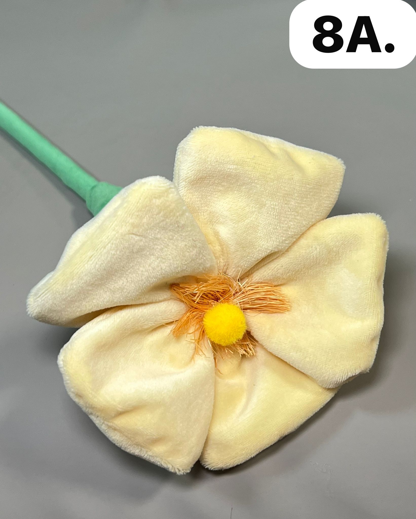 WhatsApp Image 2026-03-28 at 9.58.51 AM