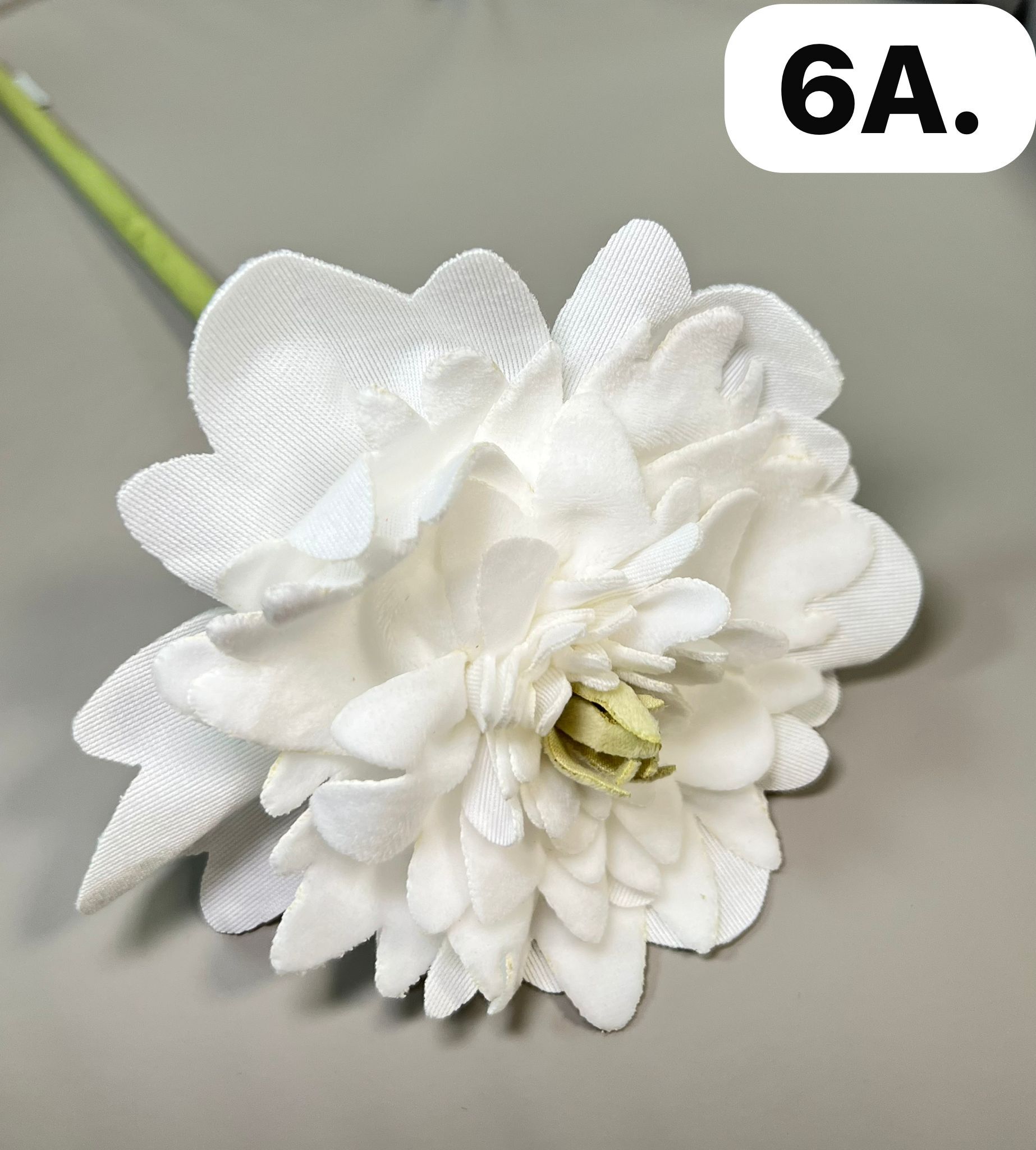 WhatsApp Image 2026-03-28 at 9.58.03 AM